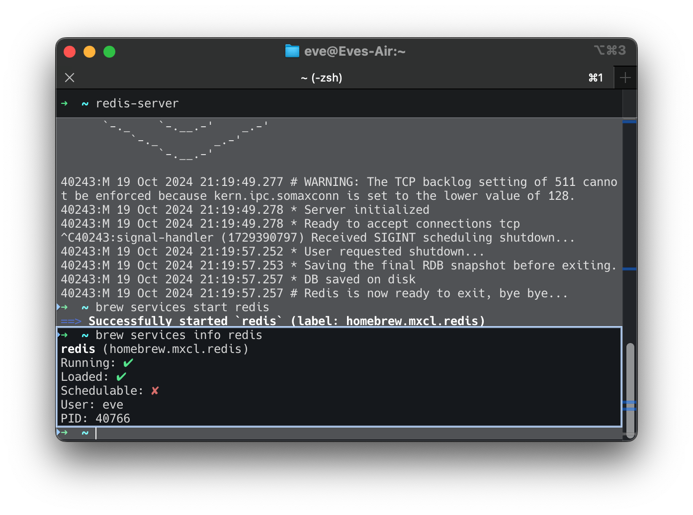 Screenshot 2024-10-19 at 21.21.06