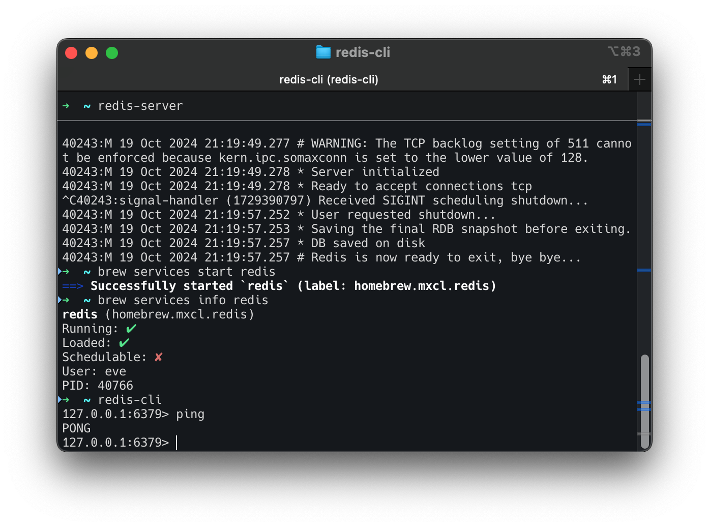 Screenshot 2024-10-19 at 21.22.00