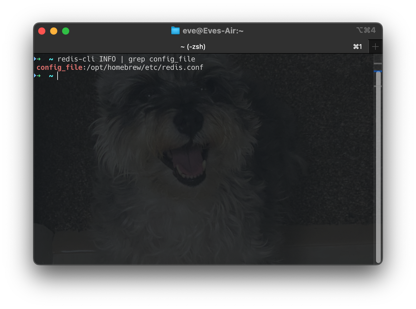 Screenshot 2024-10-20 at 12.23.25