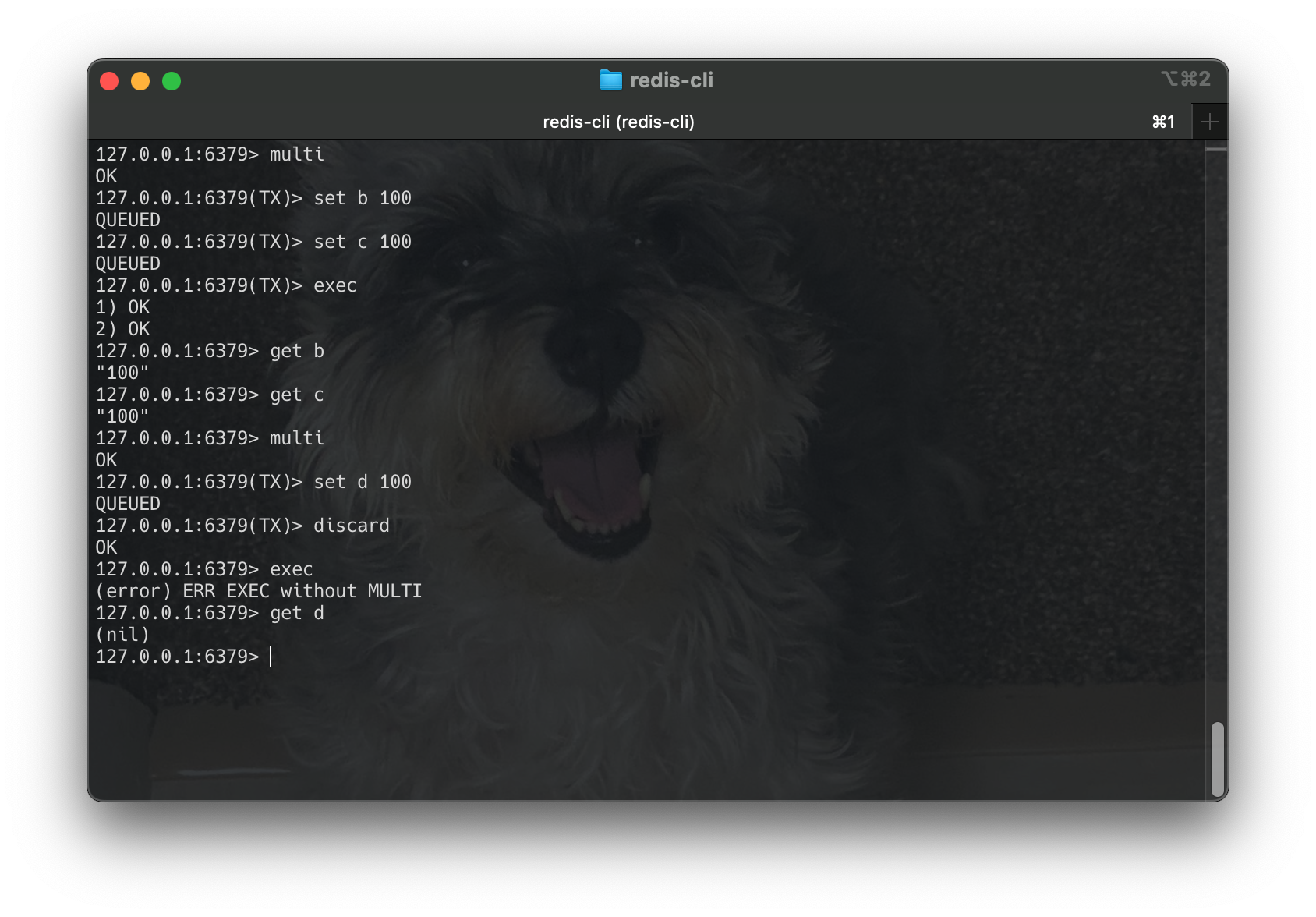 Screenshot 2024-10-20 at 12.30.46