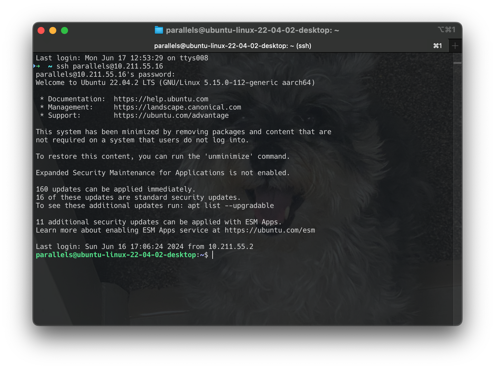 Screenshot 2024-06-17 at 16.19.15