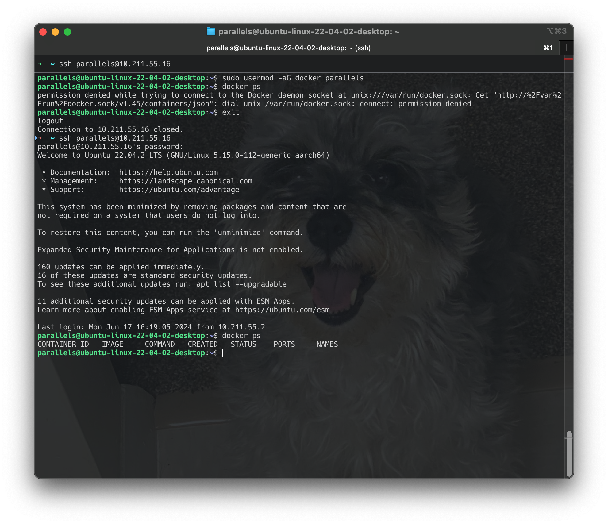 Screenshot 2024-06-17 at 16.26.44