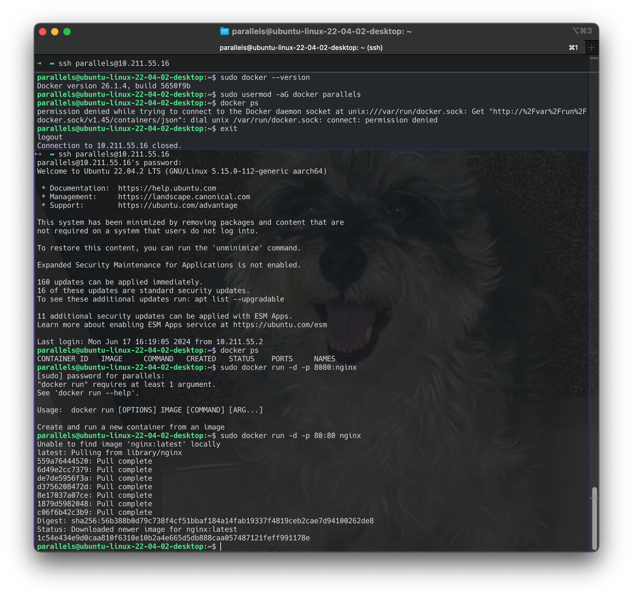 Screenshot 2024-06-17 at 16.29.21
