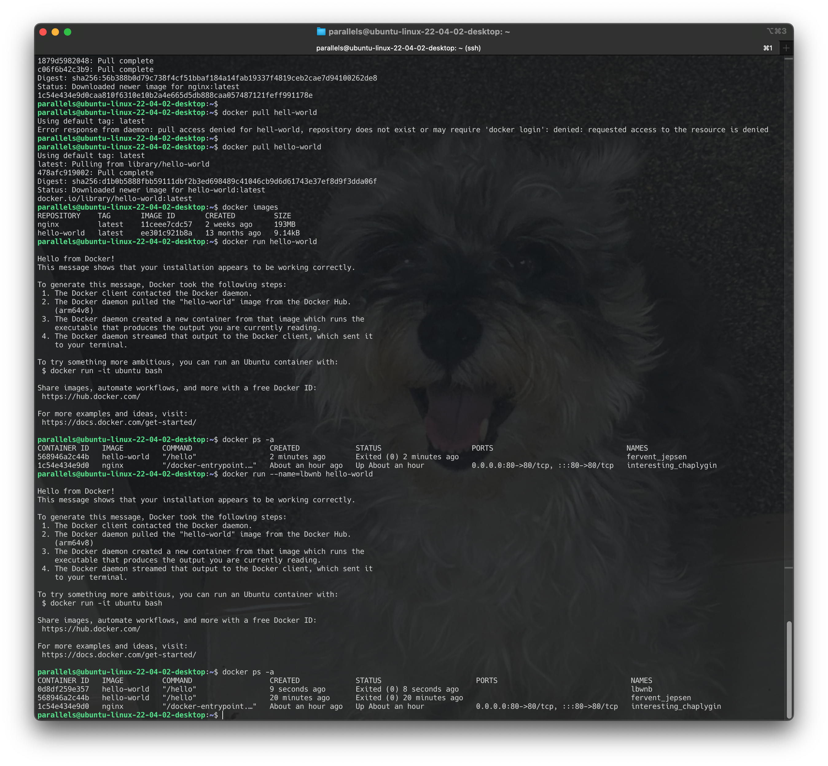 Screenshot 2024-06-17 at 17.53.09