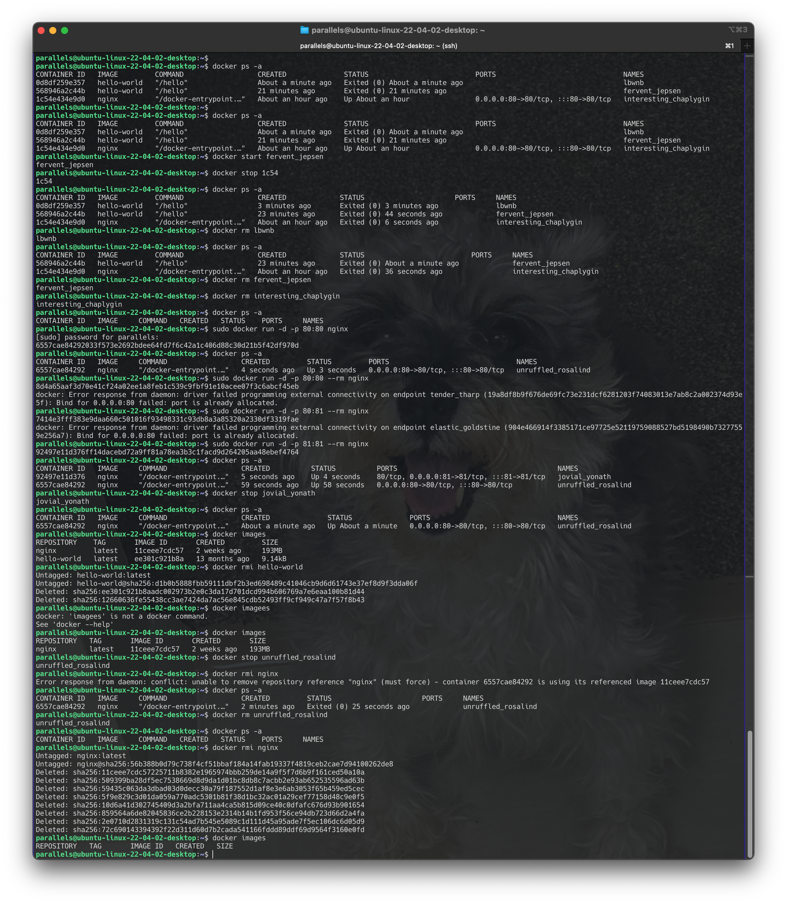 Screenshot 2024-06-17 at 18.00.43