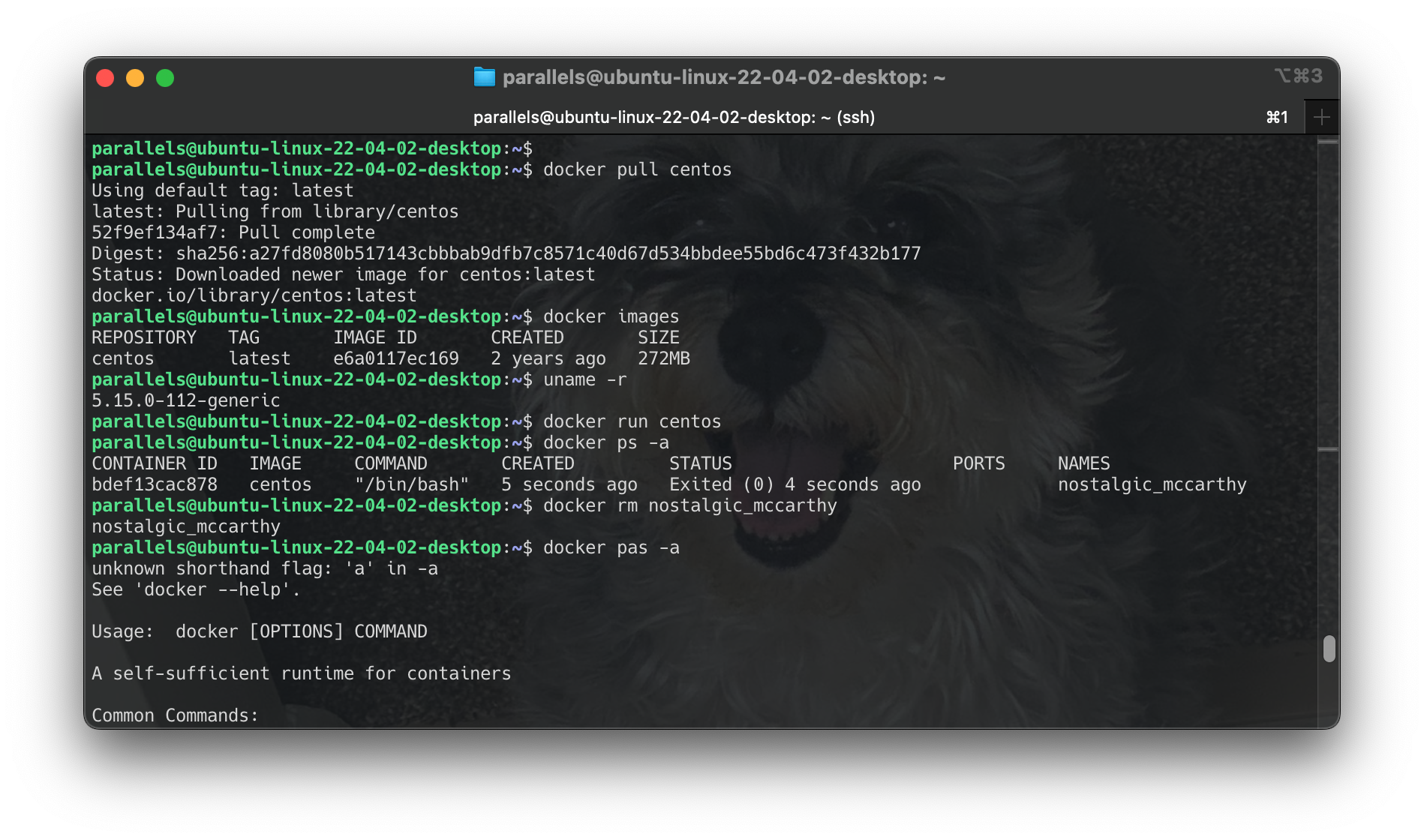 Screenshot 2024-06-17 at 22.42.49