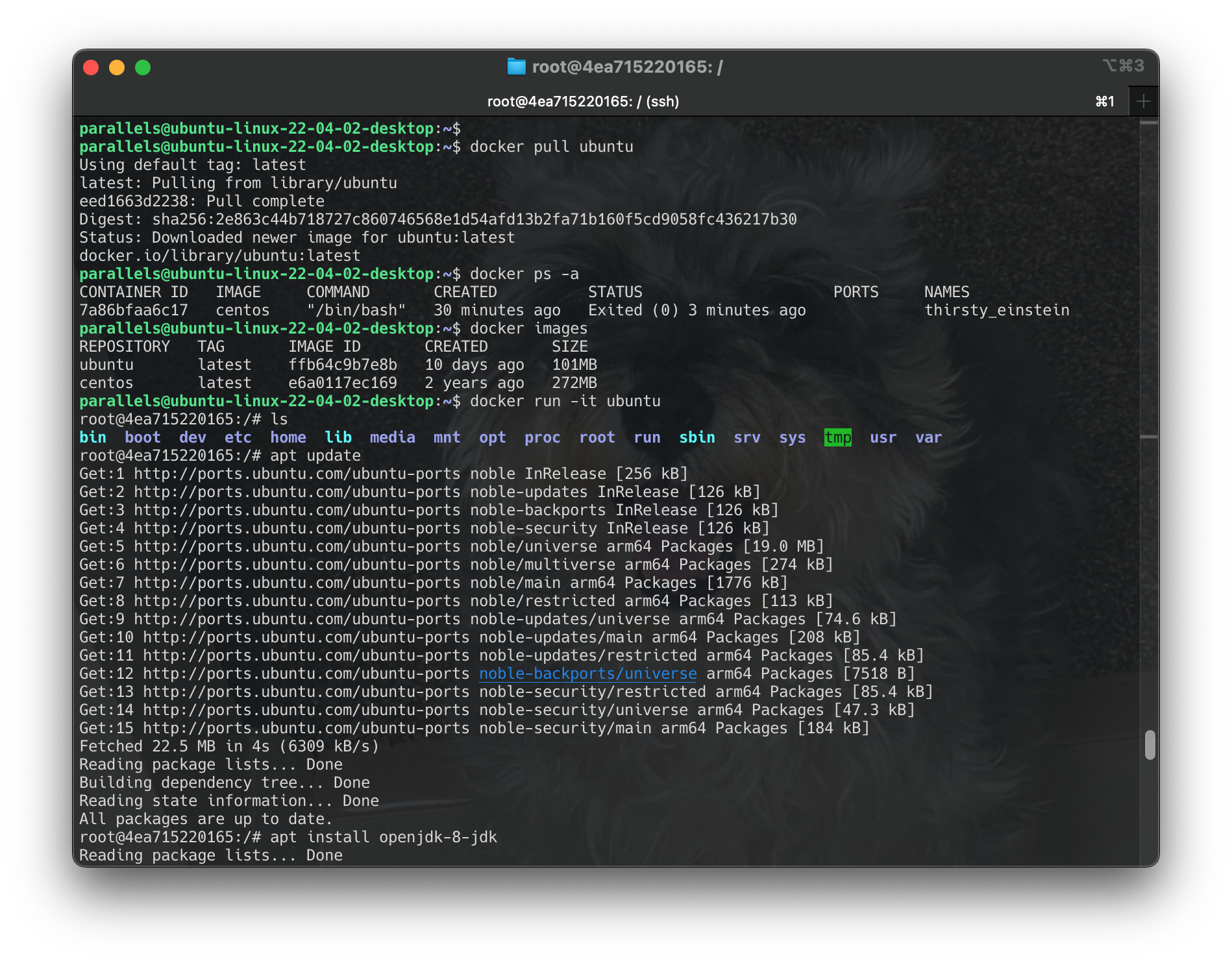 Screenshot 2024-06-17 at 23.16.01
