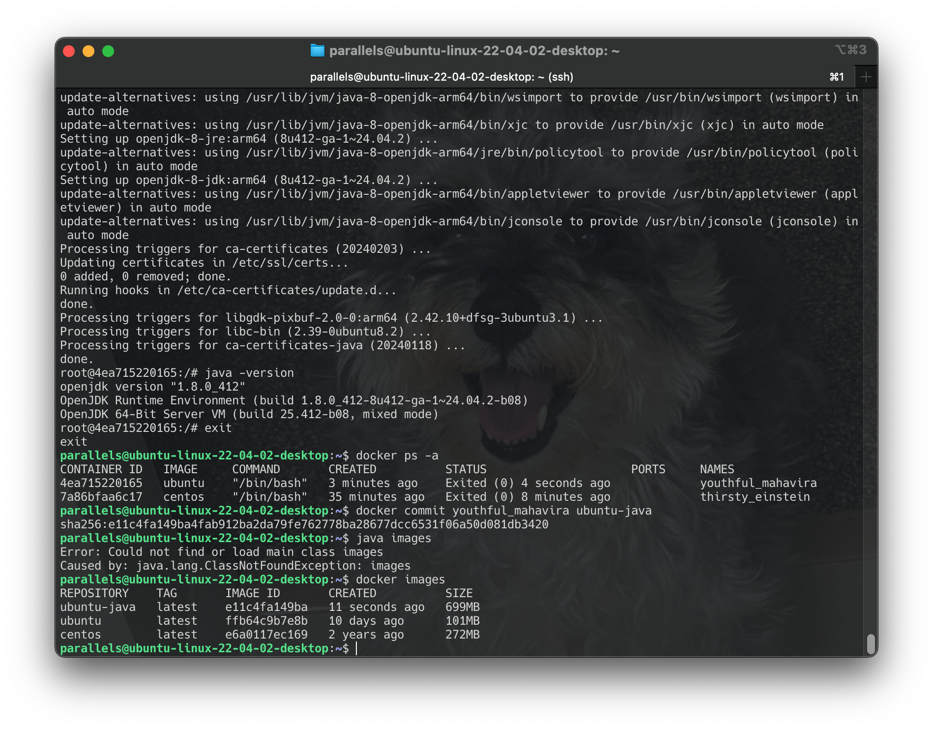 Screenshot 2024-06-17 at 23.19.59