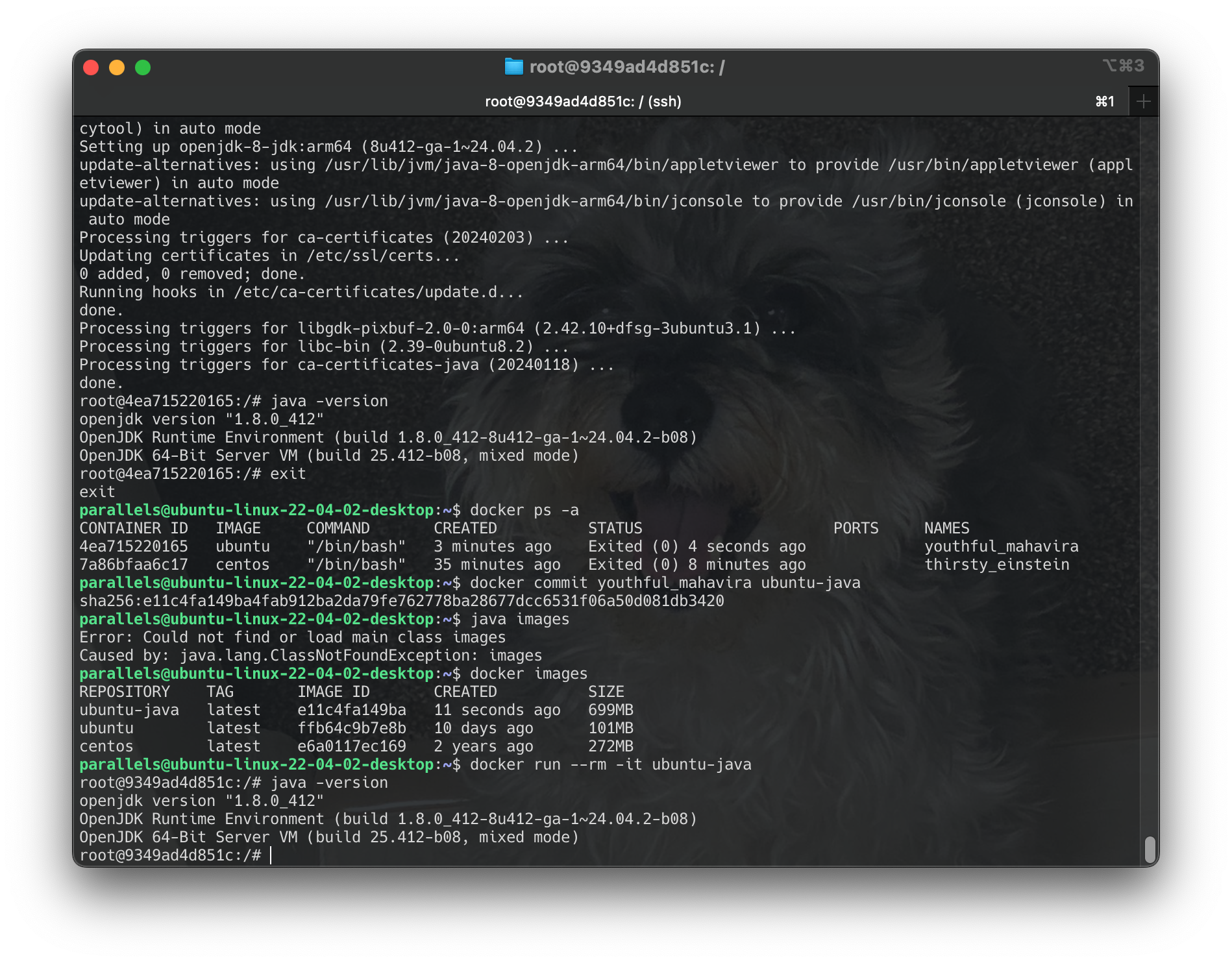 Screenshot 2024-06-17 at 23.20.54