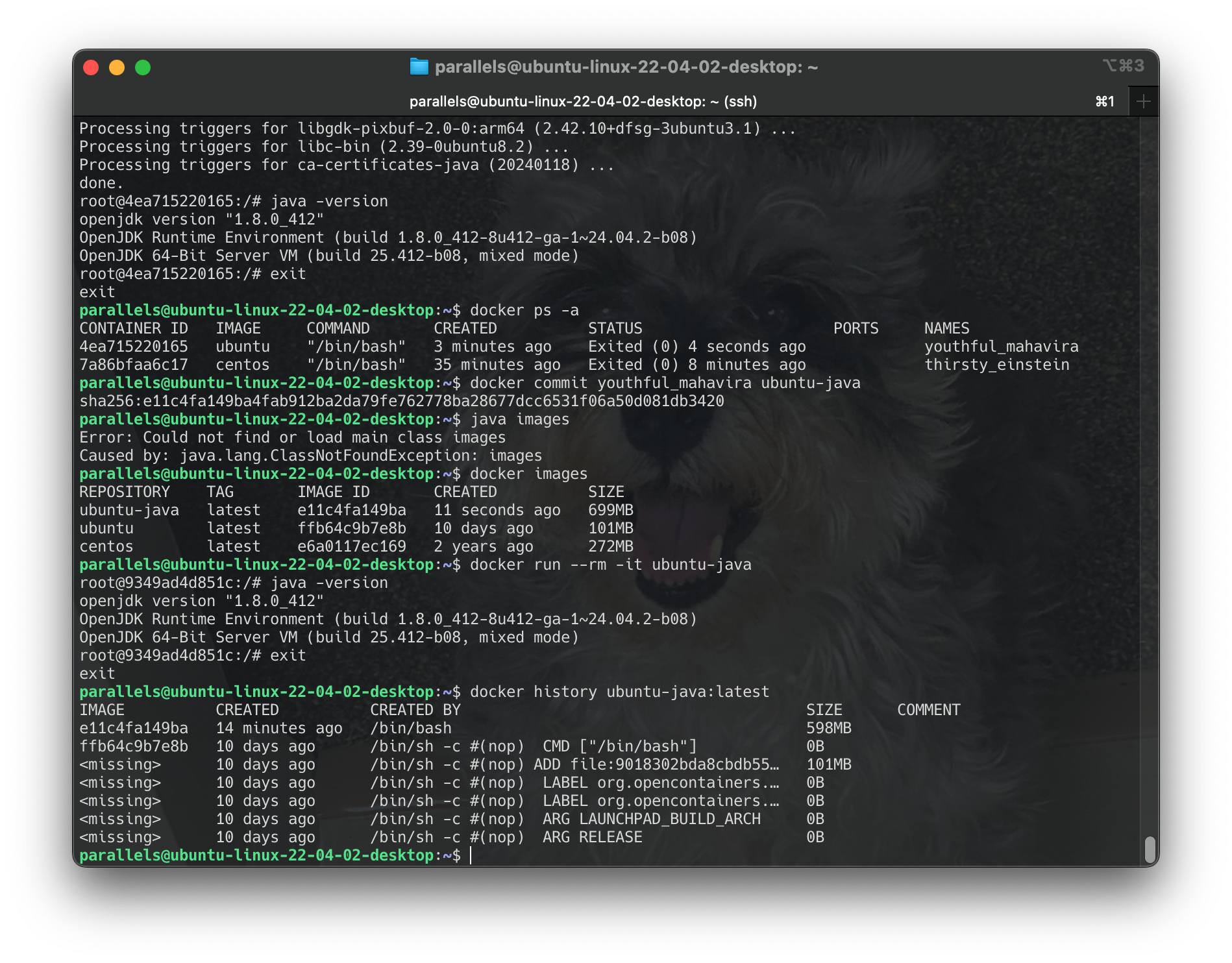 Screenshot 2024-06-17 at 23.34.58