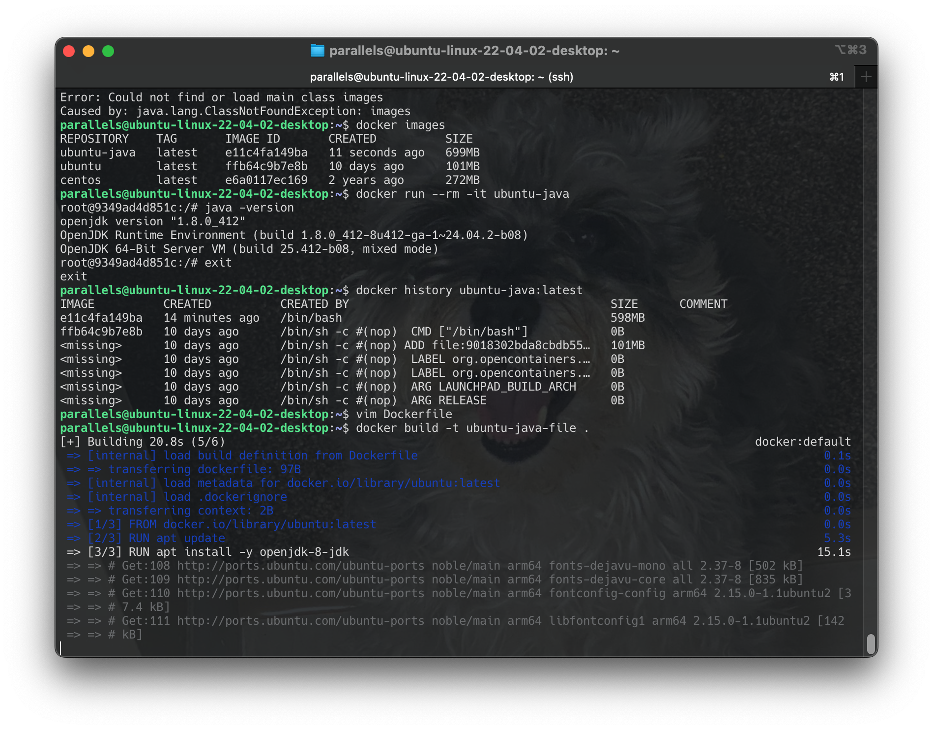 Screenshot 2024-06-17 at 23.37.05