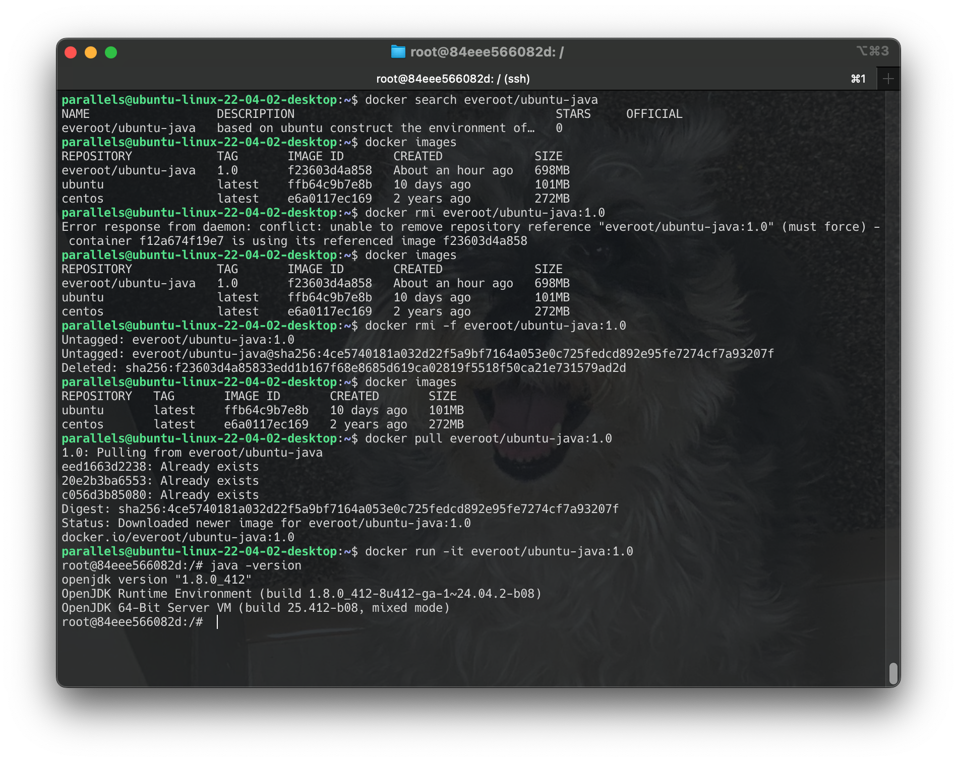 Screenshot 2024-06-18 at 00.54.34