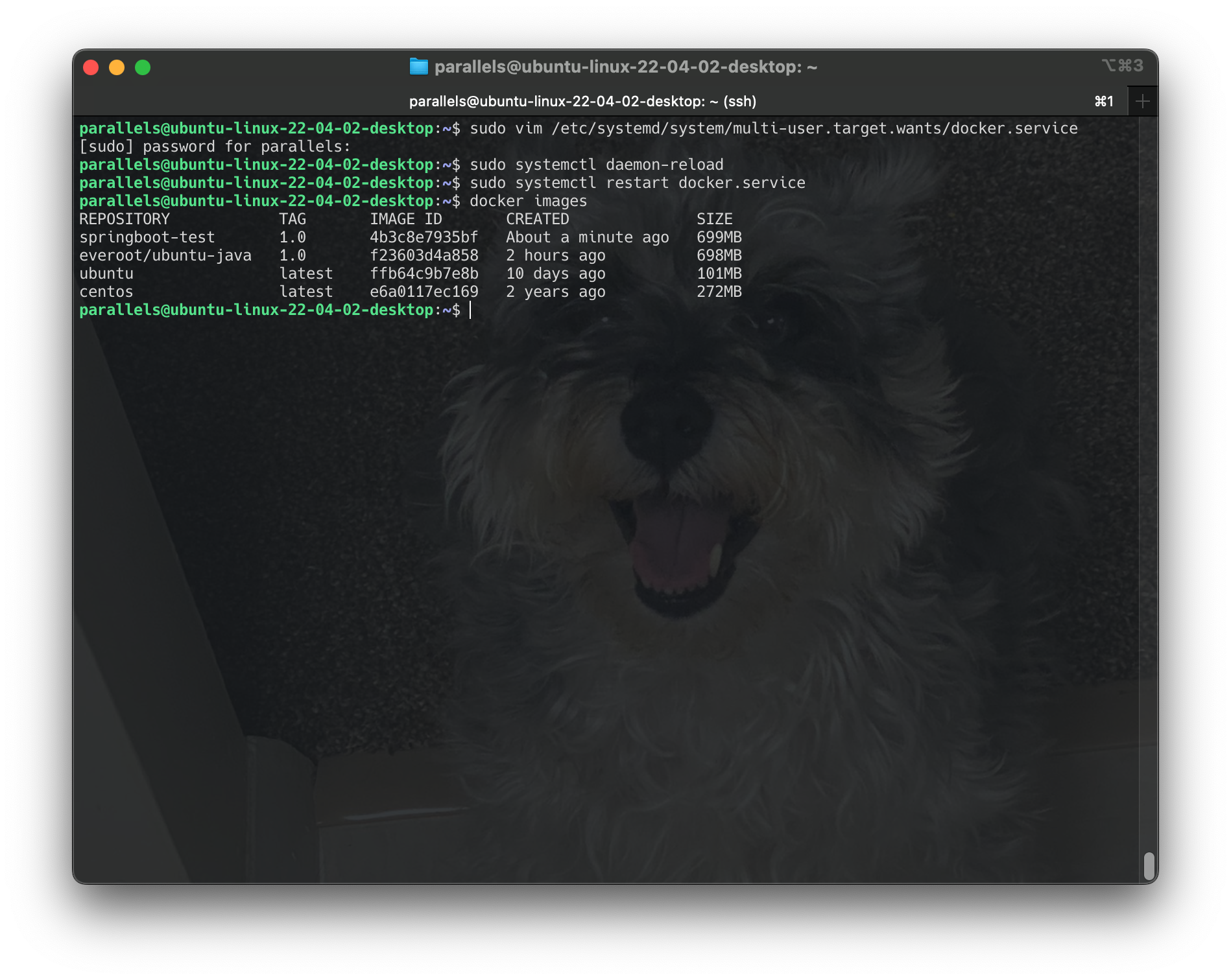 Screenshot 2024-06-18 at 01.22.16