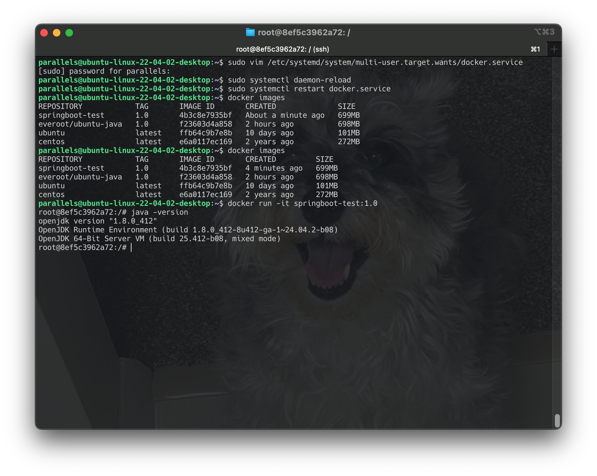 Screenshot 2024-06-18 at 01.25.33