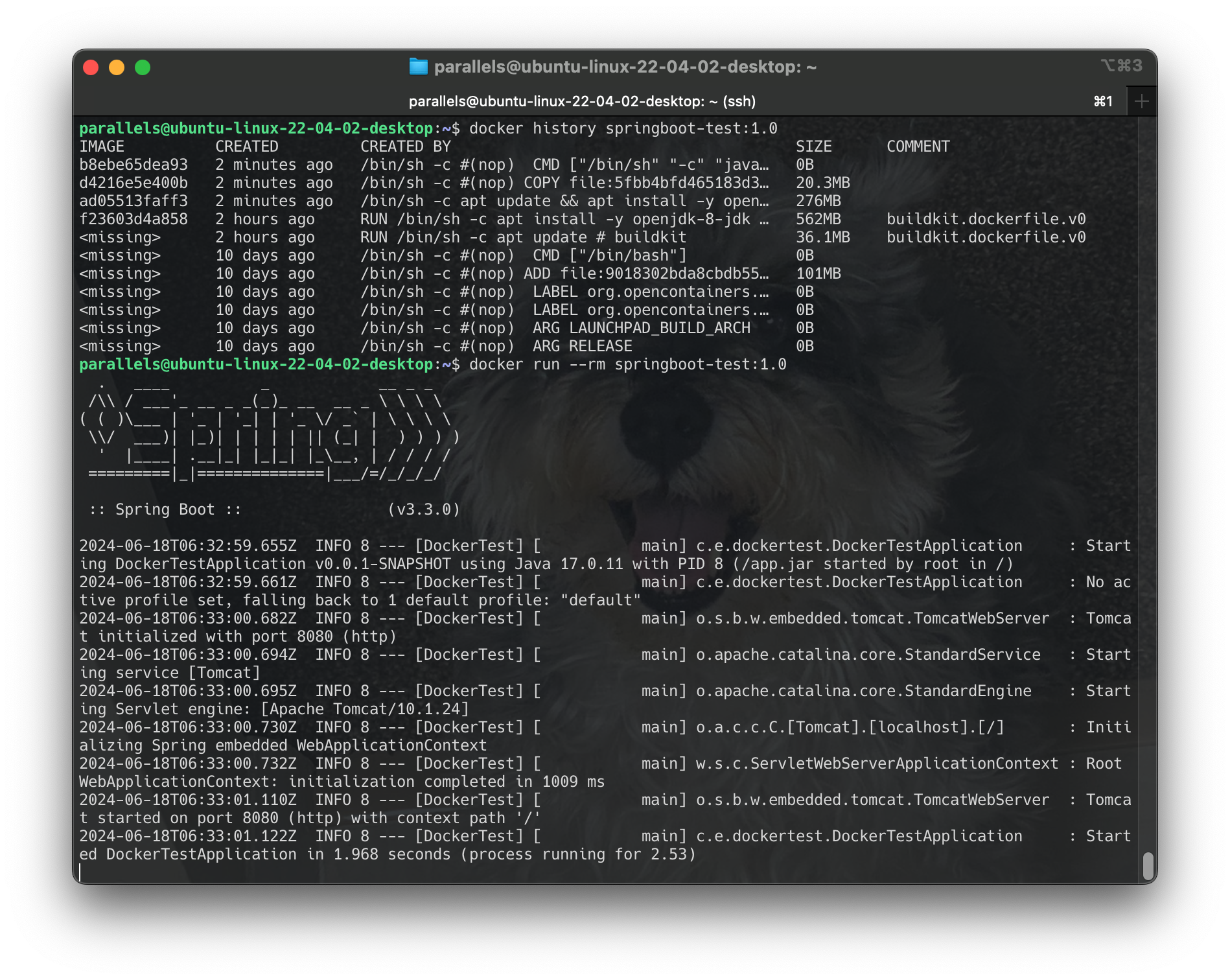 Screenshot 2024-06-18 at 01.33.25
