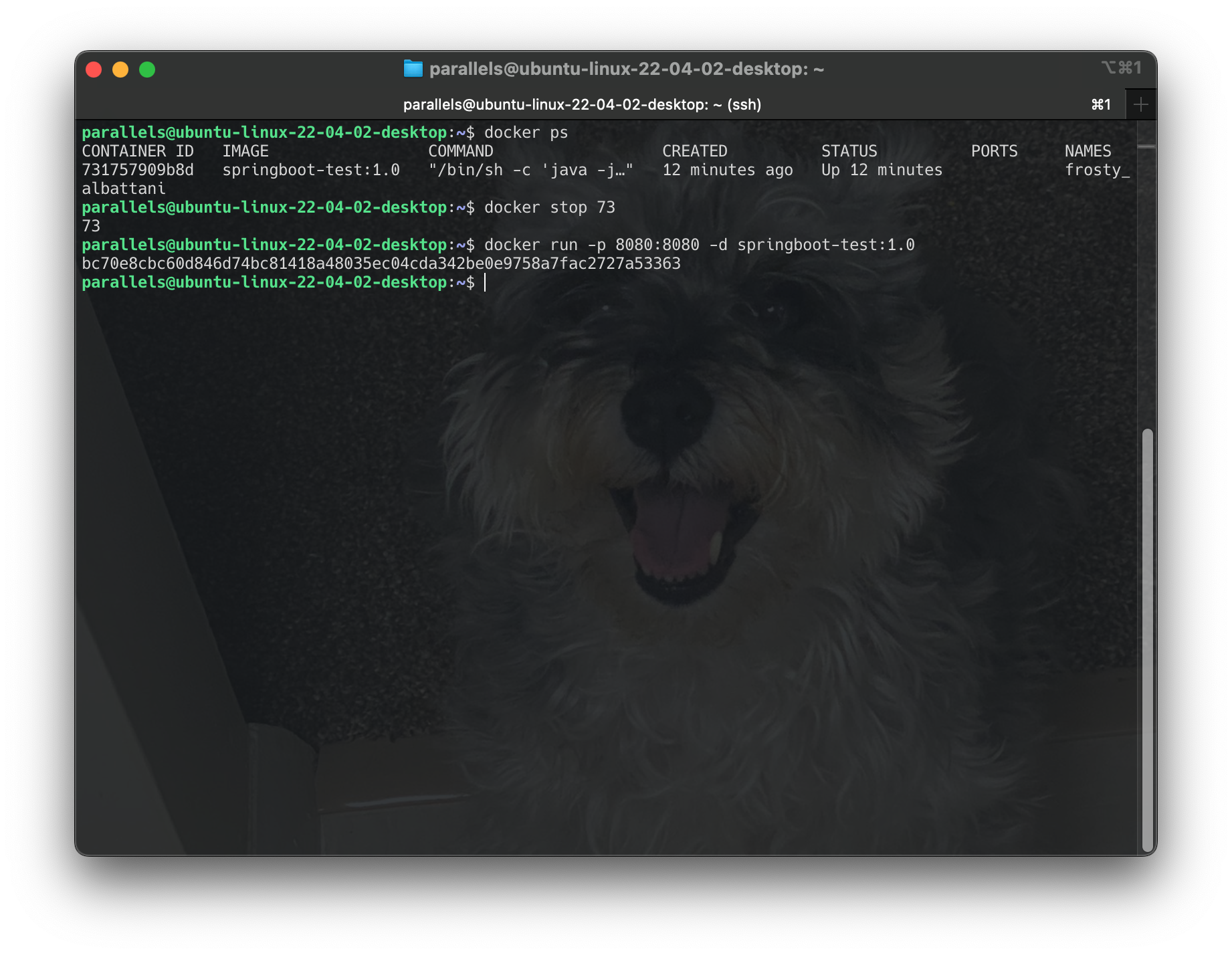 Screenshot 2024-06-18 at 01.46.55