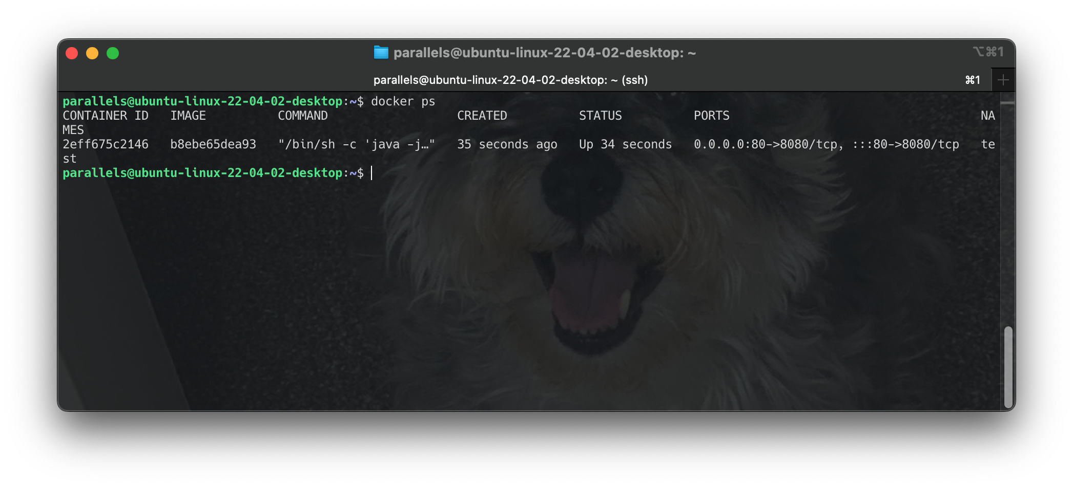 Screenshot 2024-06-18 at 01.52.46