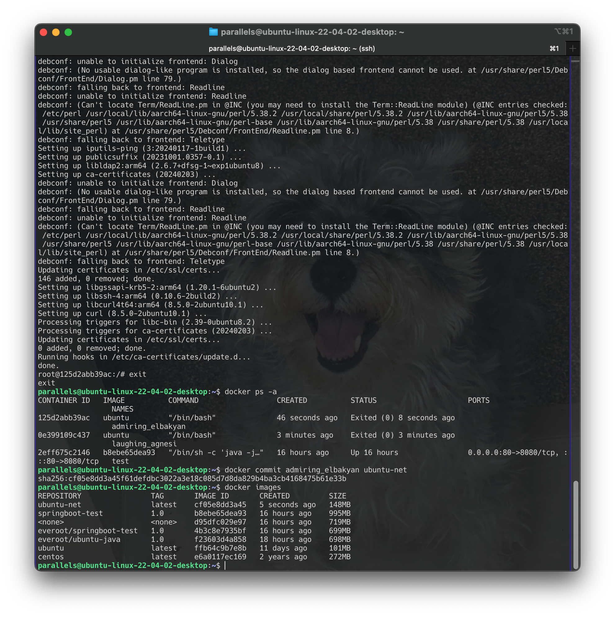 Screenshot 2024-06-18 at 20.06.36