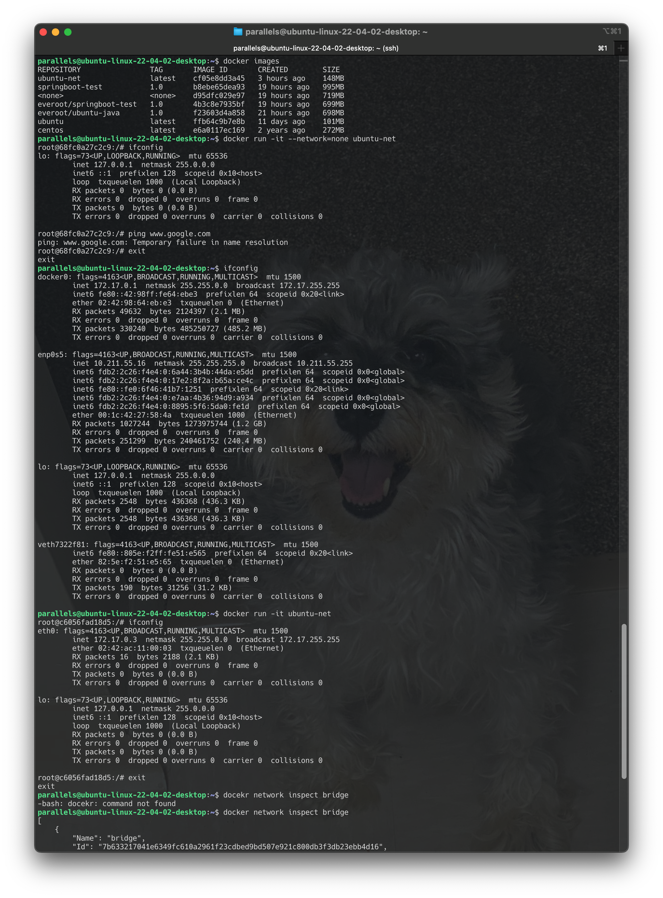 Screenshot 2024-06-18 at 20.15.19