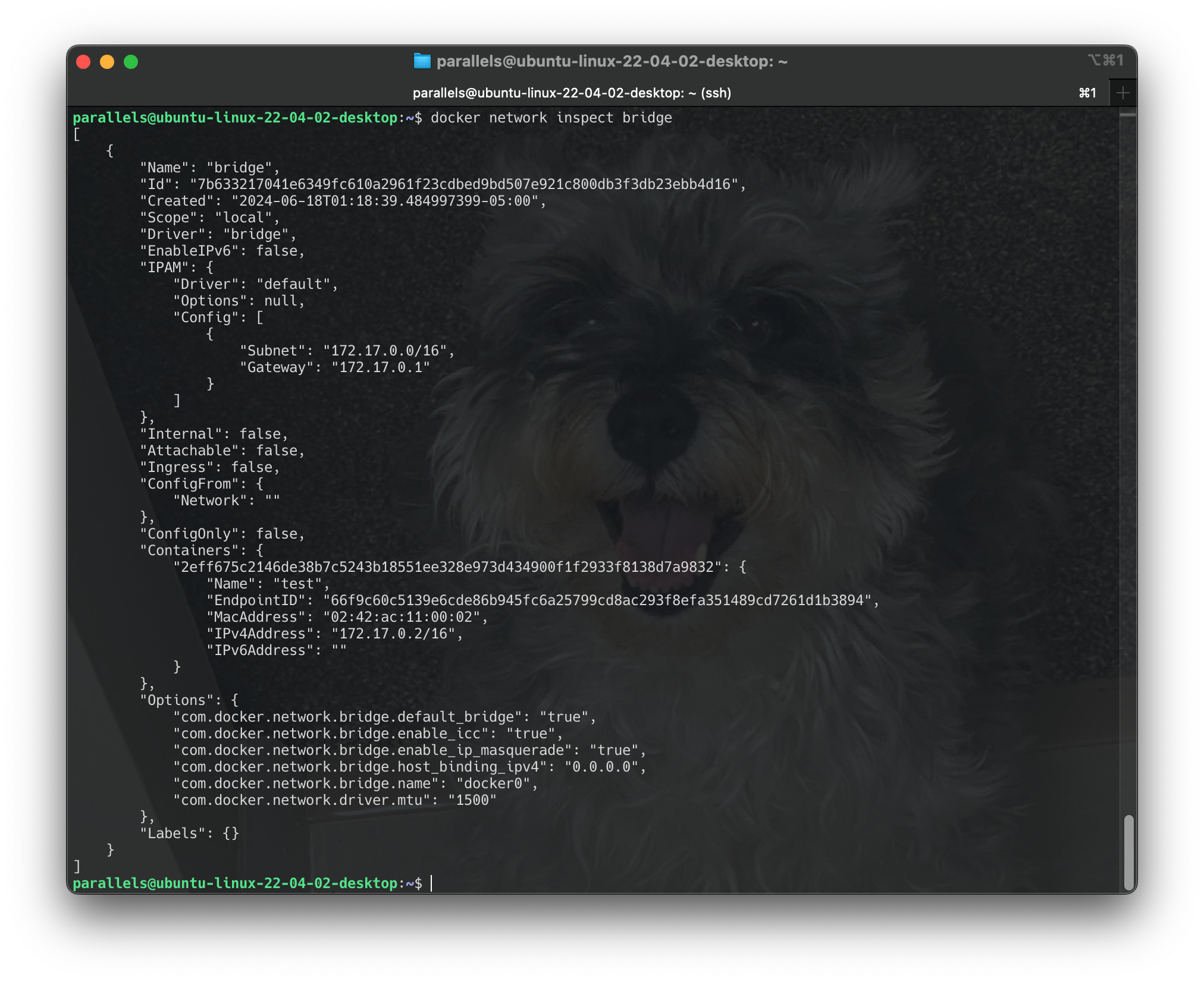 Screenshot 2024-06-18 at 20.15.45