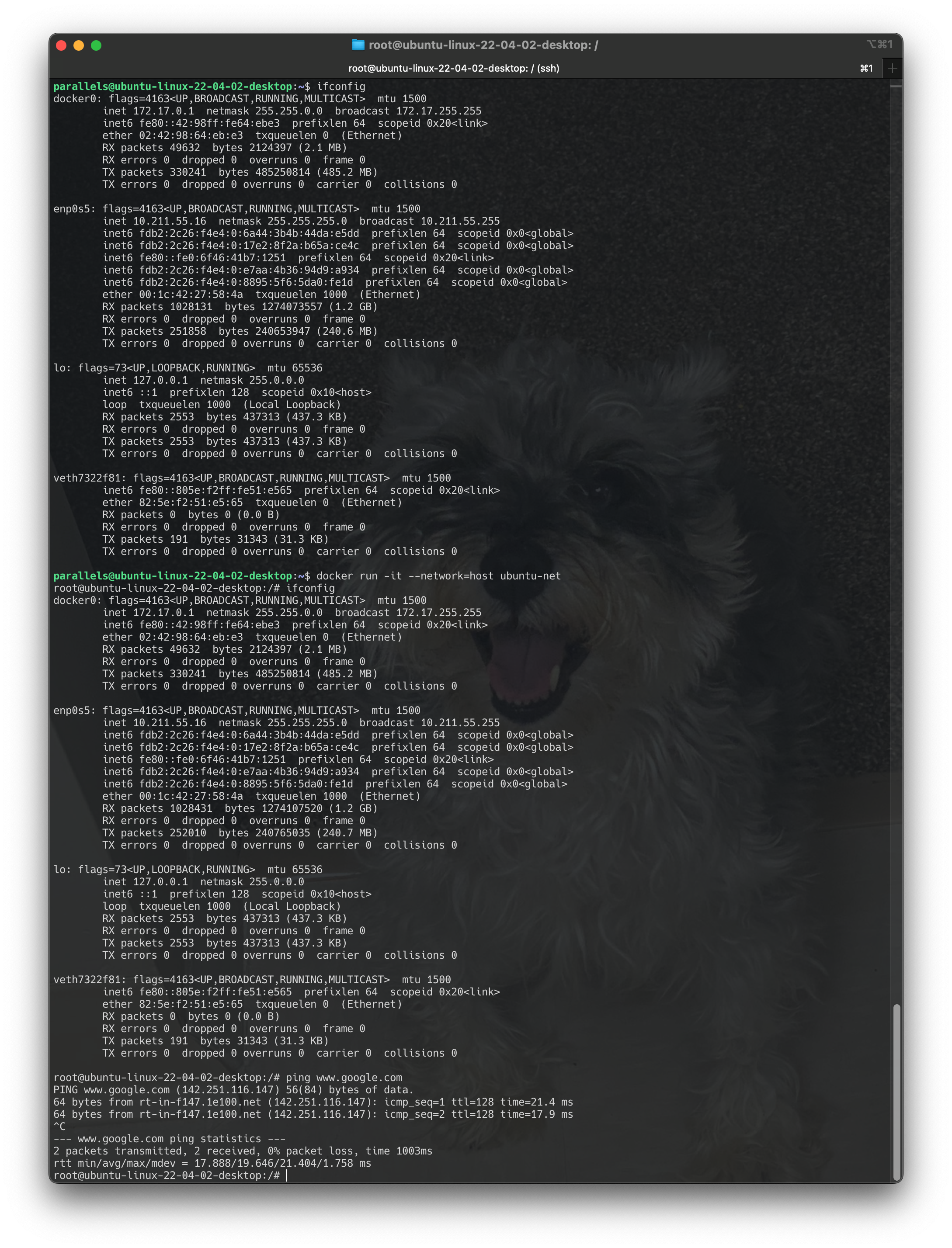 Screenshot 2024-06-18 at 20.17.28