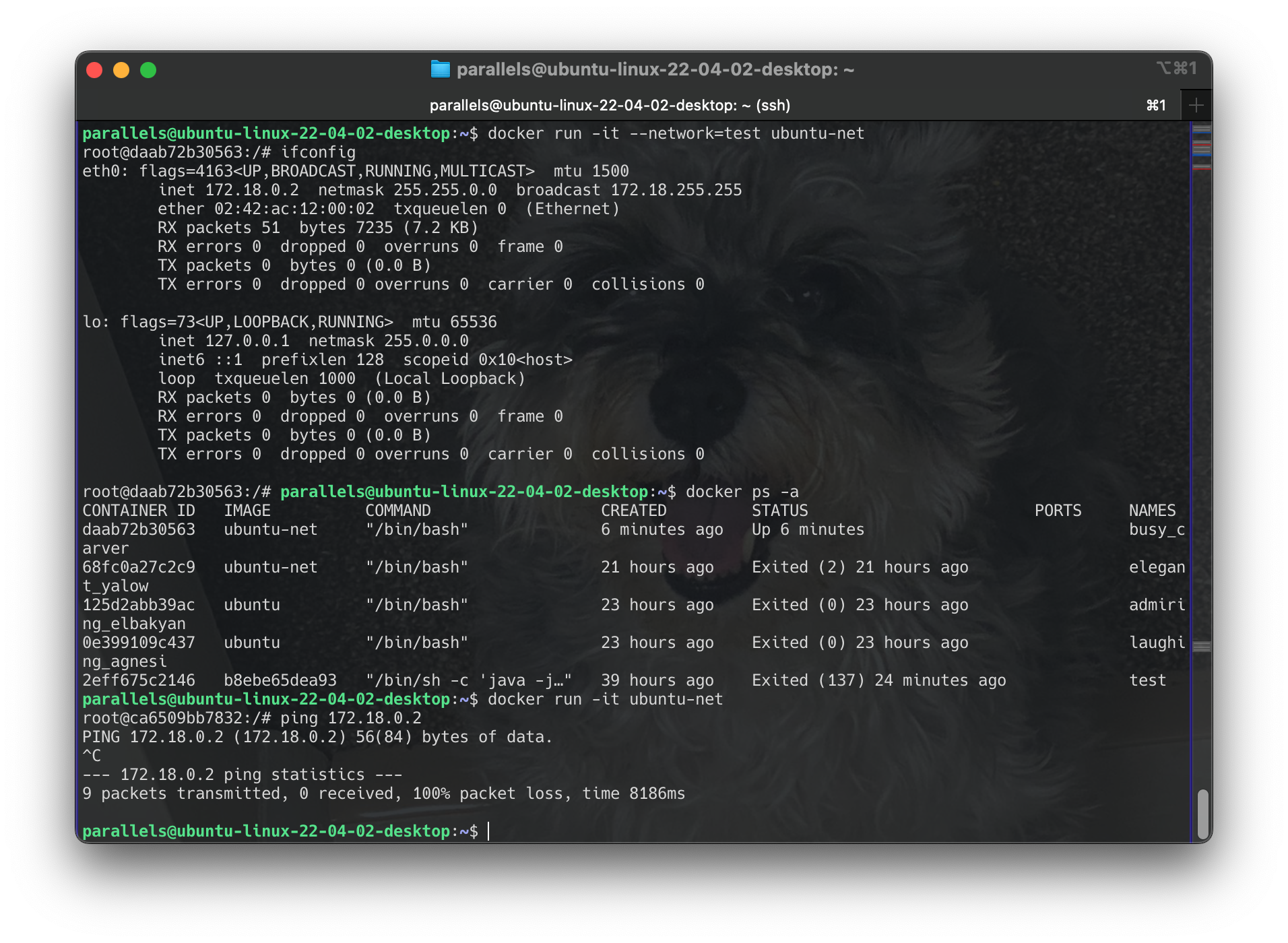 Screenshot 2024-06-19 at 16.53.02