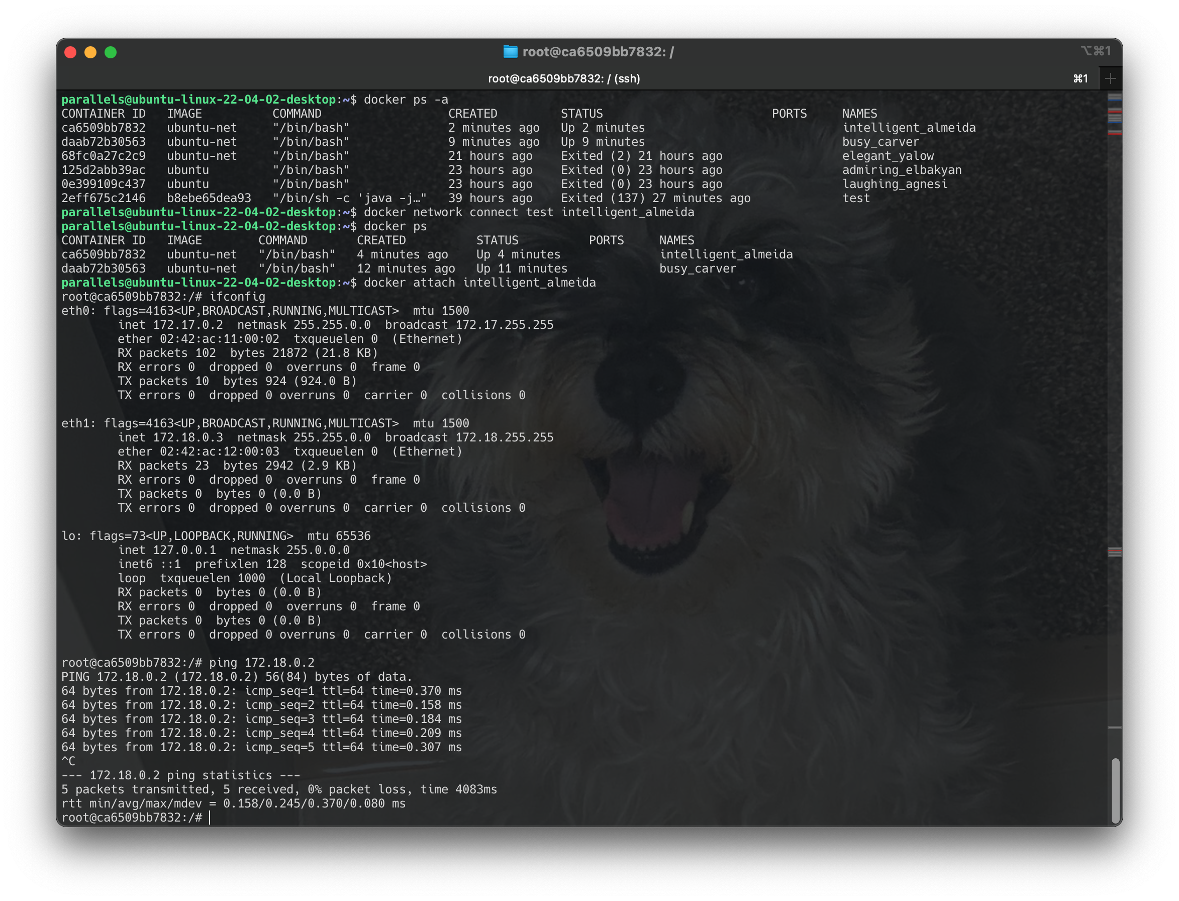 Screenshot 2024-06-19 at 16.56.36