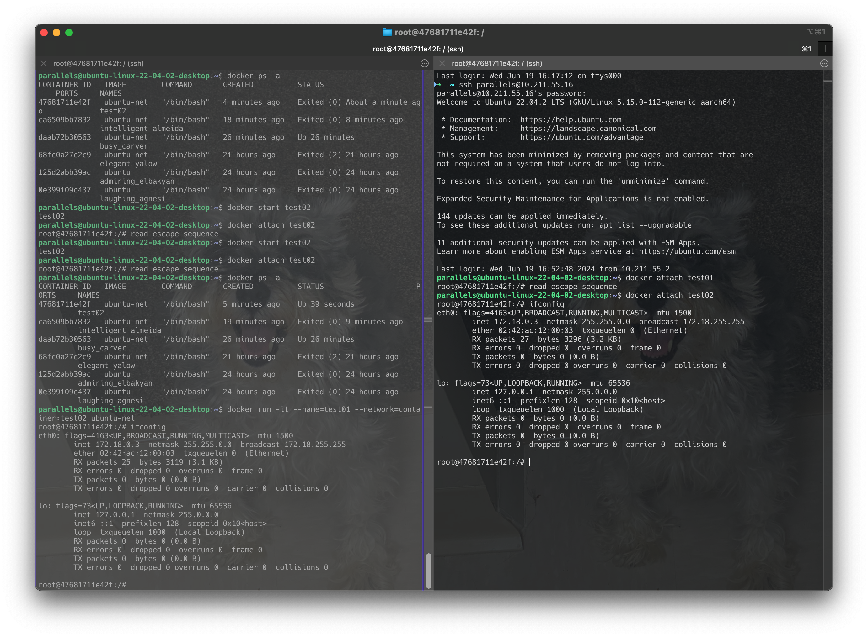 Screenshot 2024-06-19 at 17.13.20
