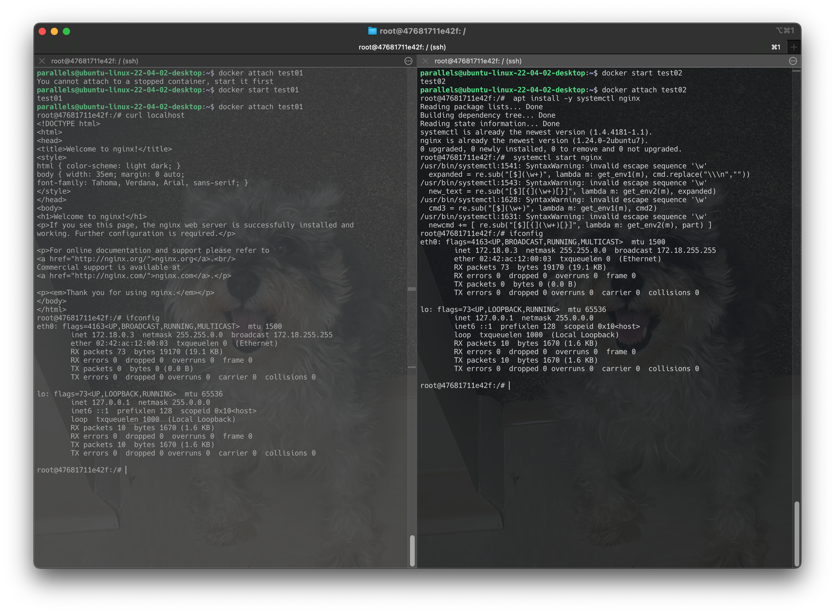 Screenshot 2024-06-19 at 17.17.35