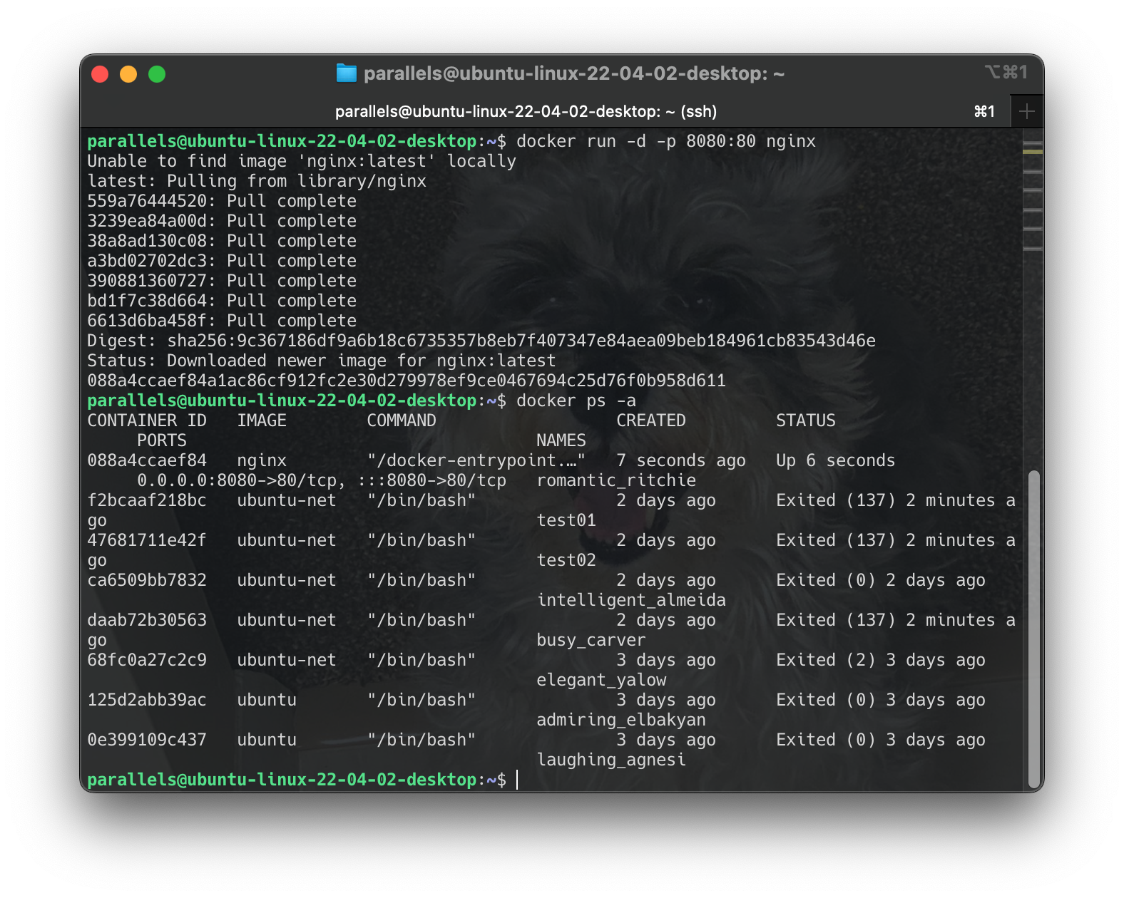 Screenshot 2024-06-22 at 10.54.42