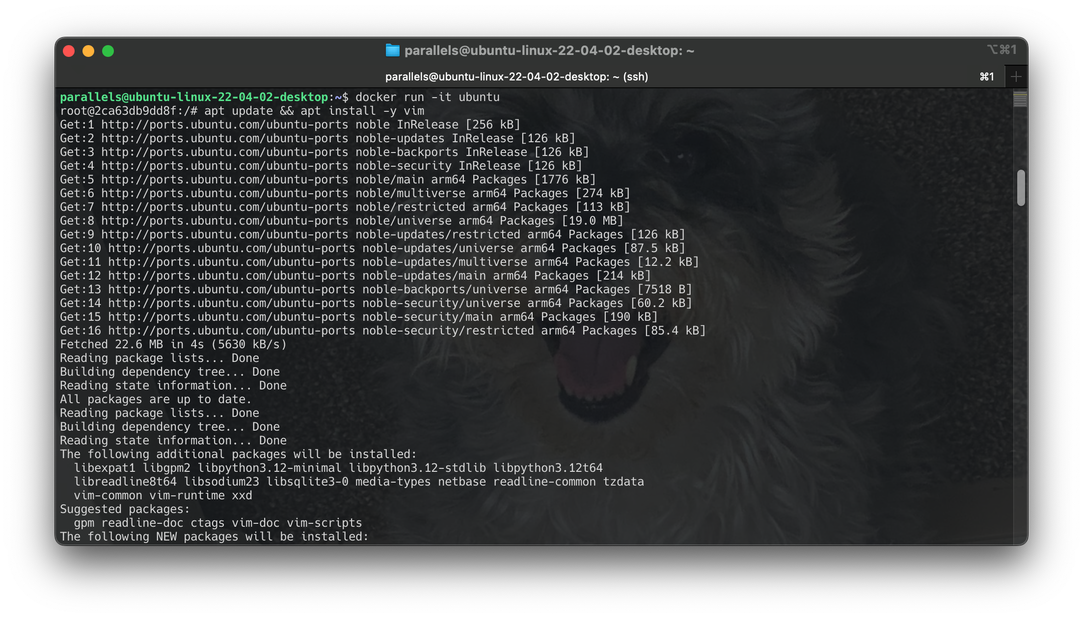 Screenshot 2024-06-22 at 10.59.41