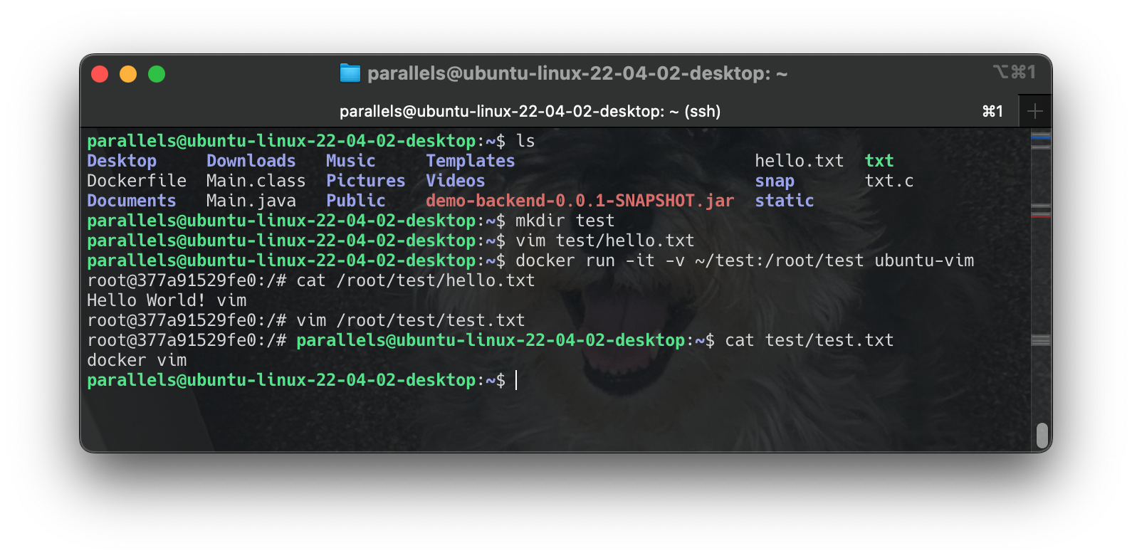 Screenshot 2024-06-22 at 11.33.42