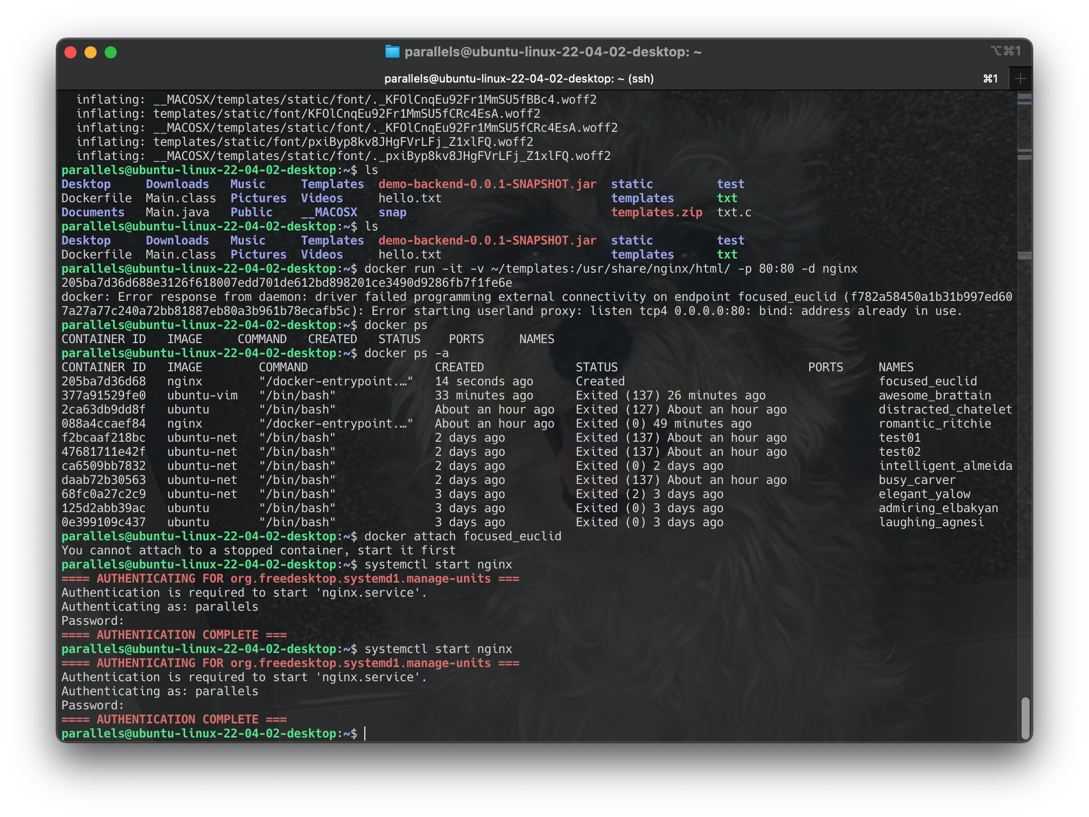 Screenshot 2024-06-22 at 12.08.00