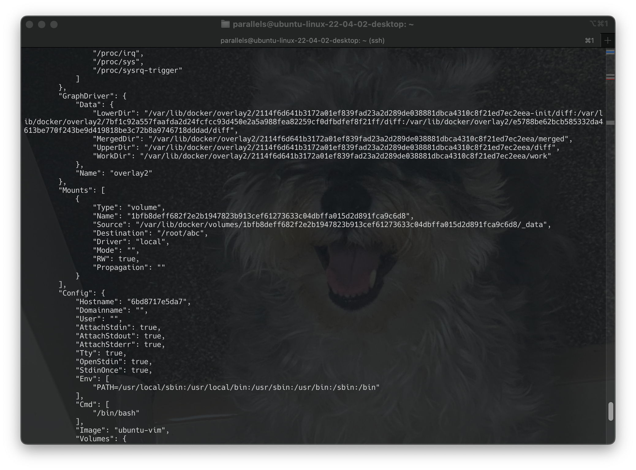 Screenshot 2024-06-22 at 12.10.49