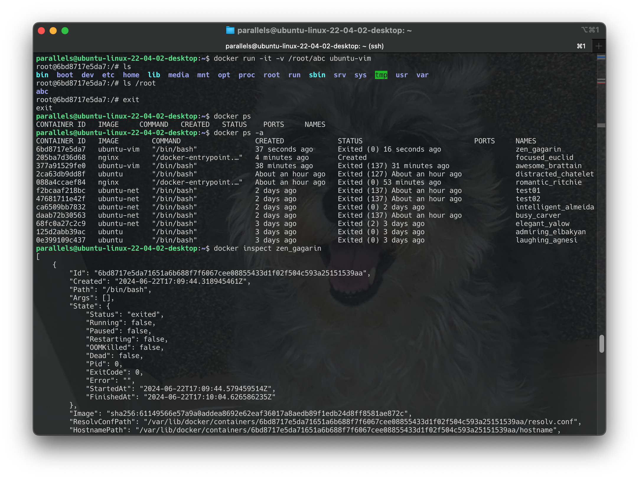 Screenshot 2024-06-22 at 12.11.29