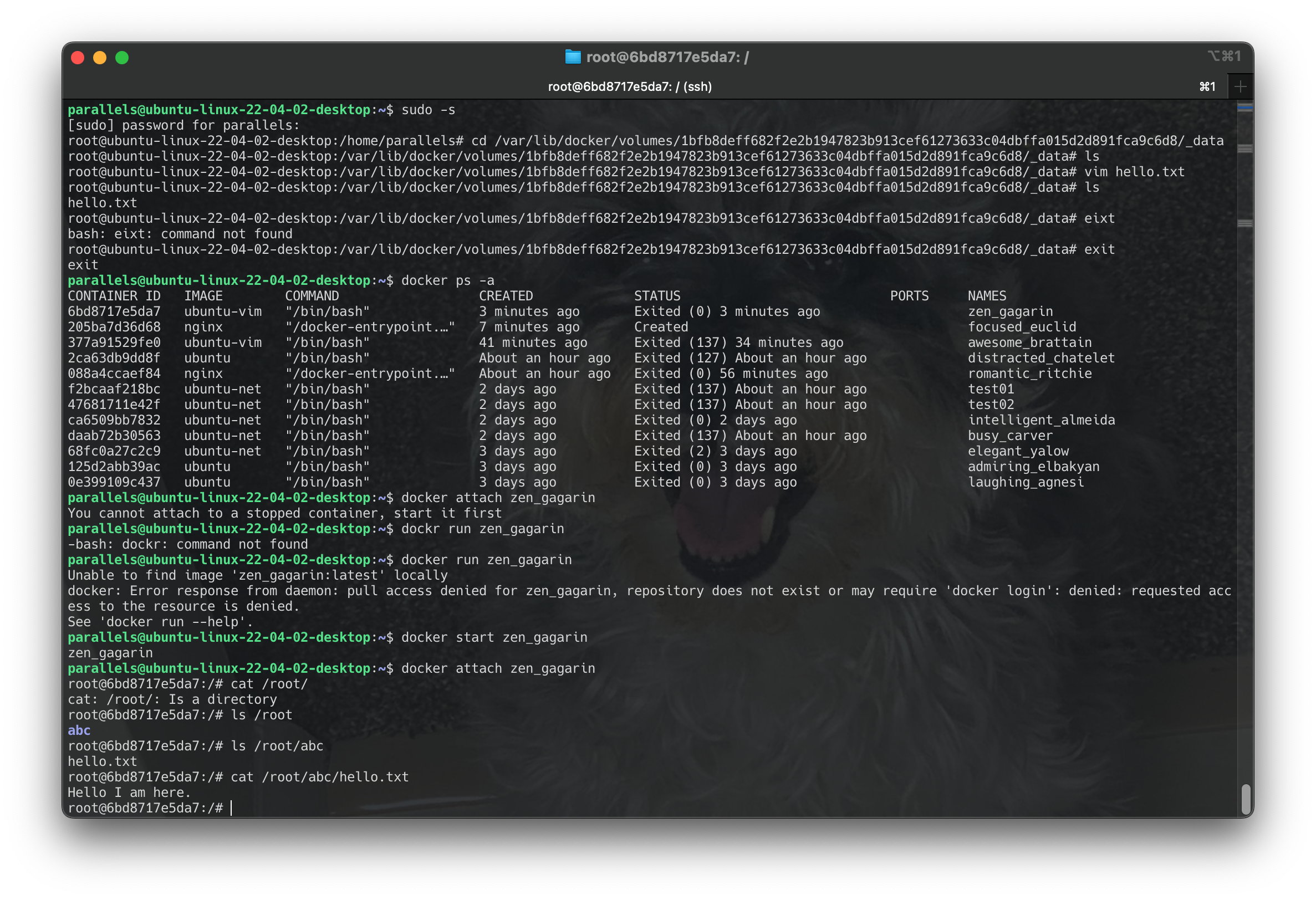 Screenshot 2024-06-22 at 12.16.04