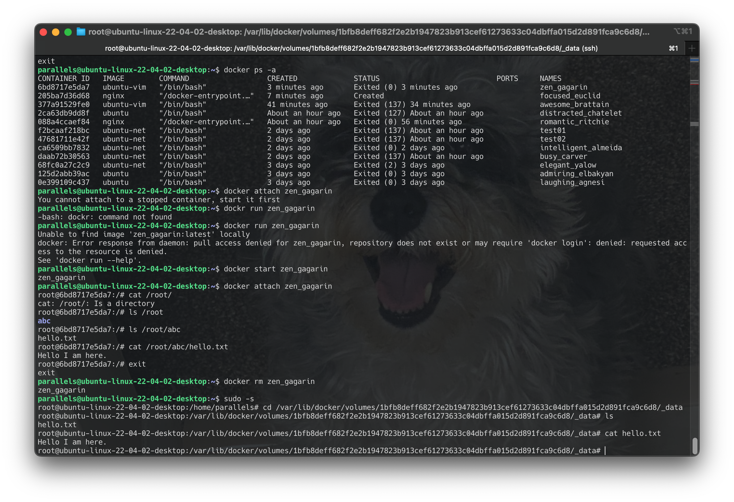 Screenshot 2024-06-22 at 12.17.25