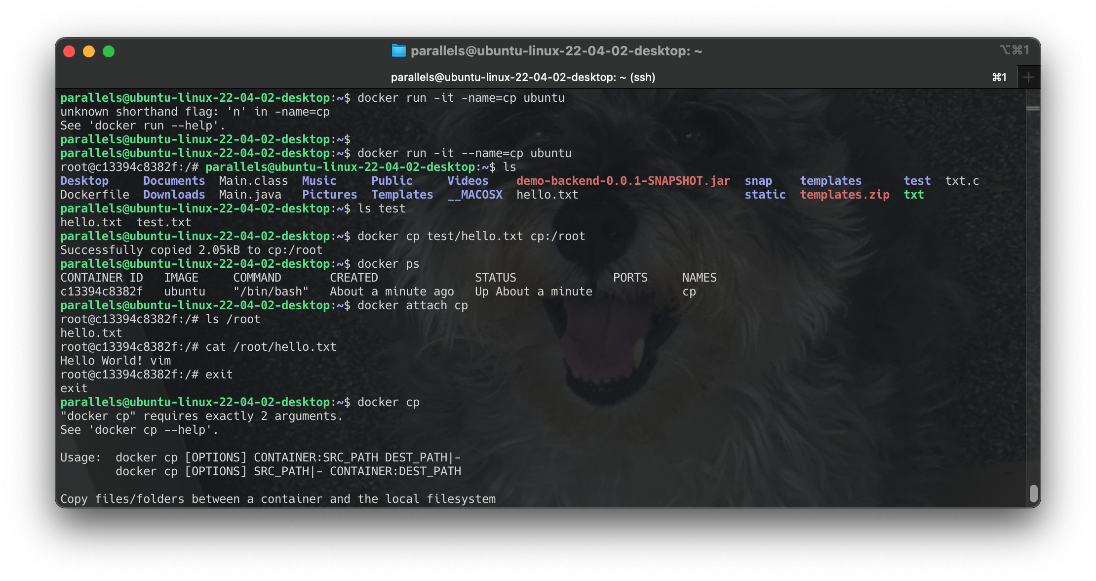Screenshot 2024-06-22 at 12.22.58