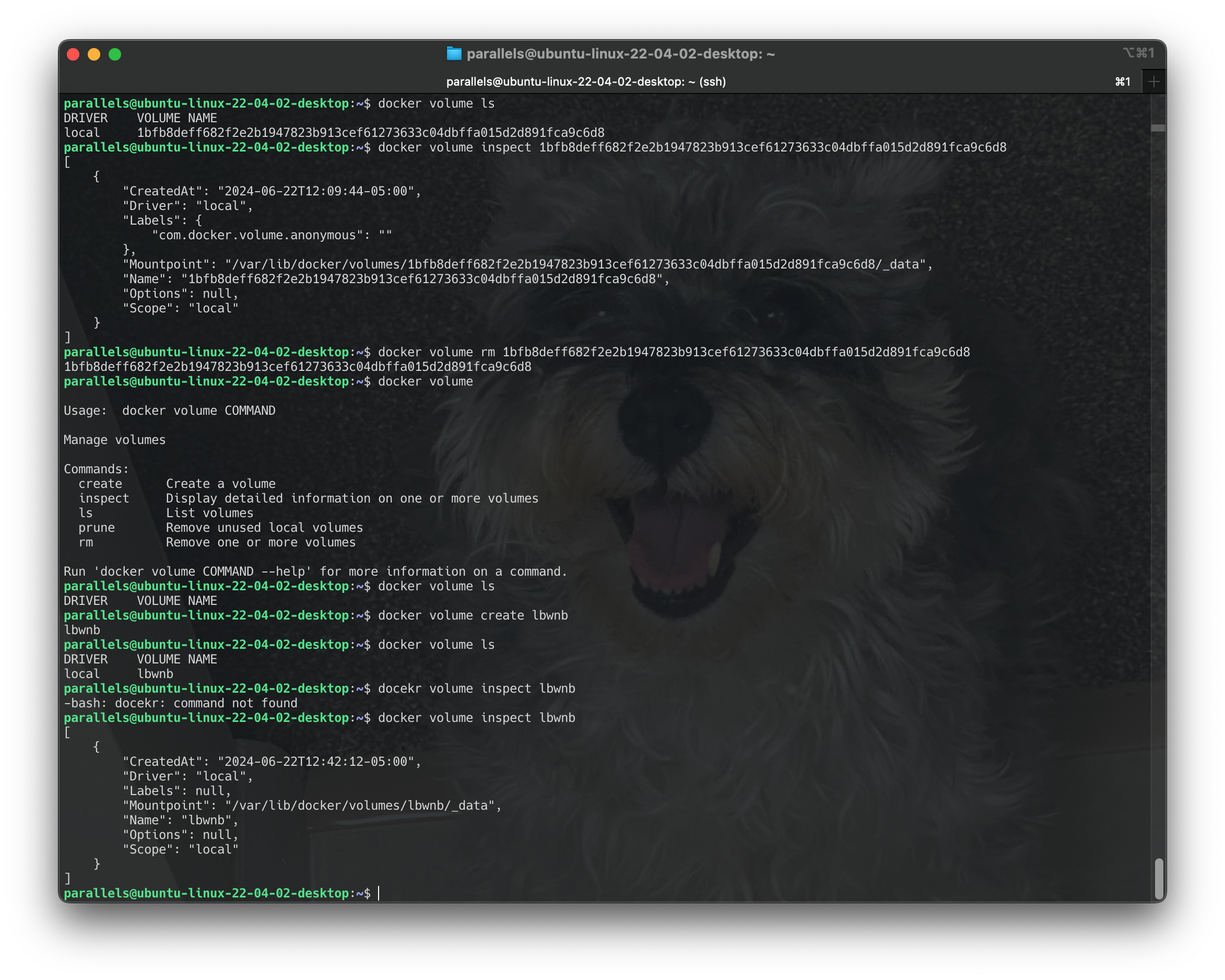 Screenshot 2024-06-22 at 12.42.56