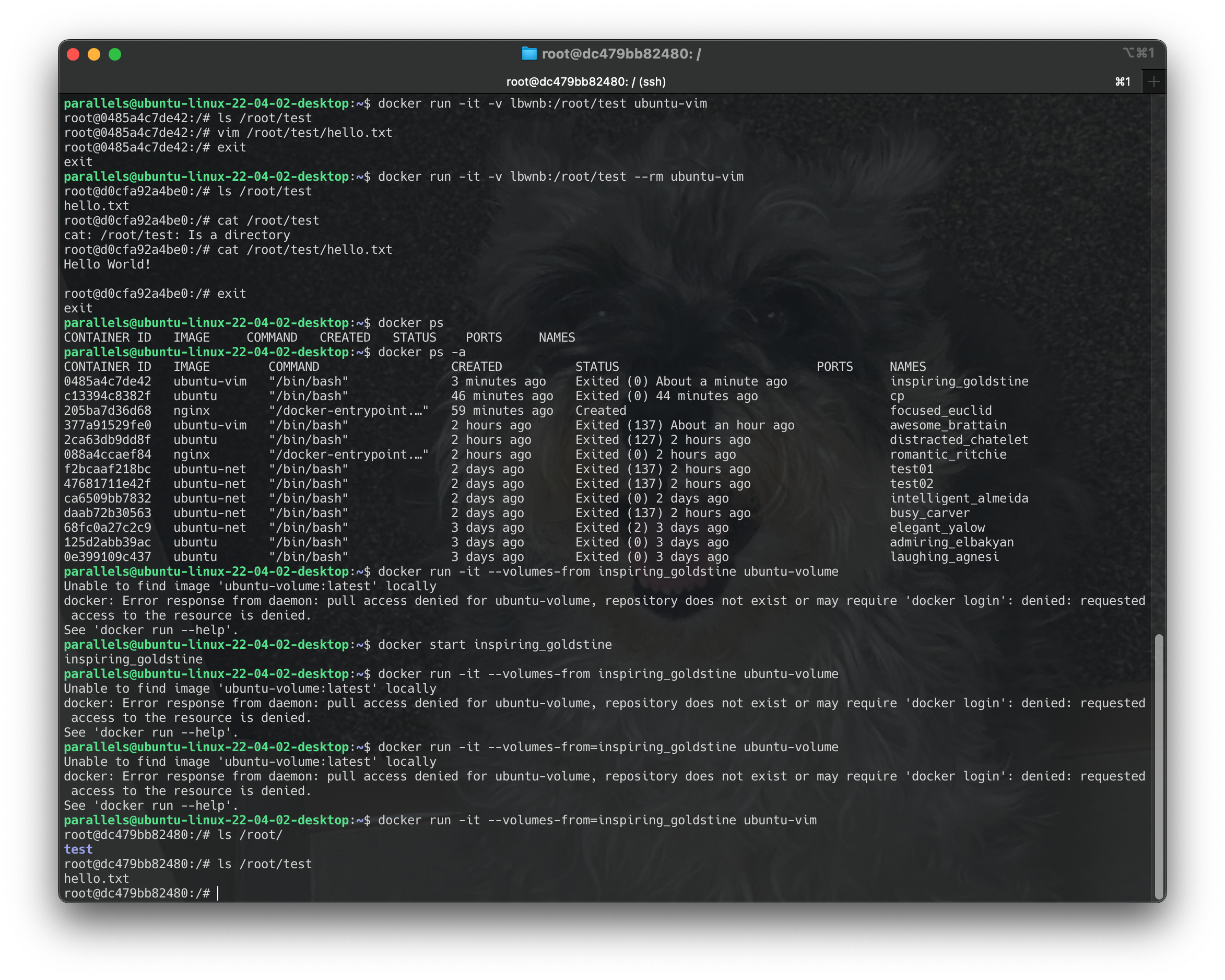 Screenshot 2024-06-22 at 13.07.53