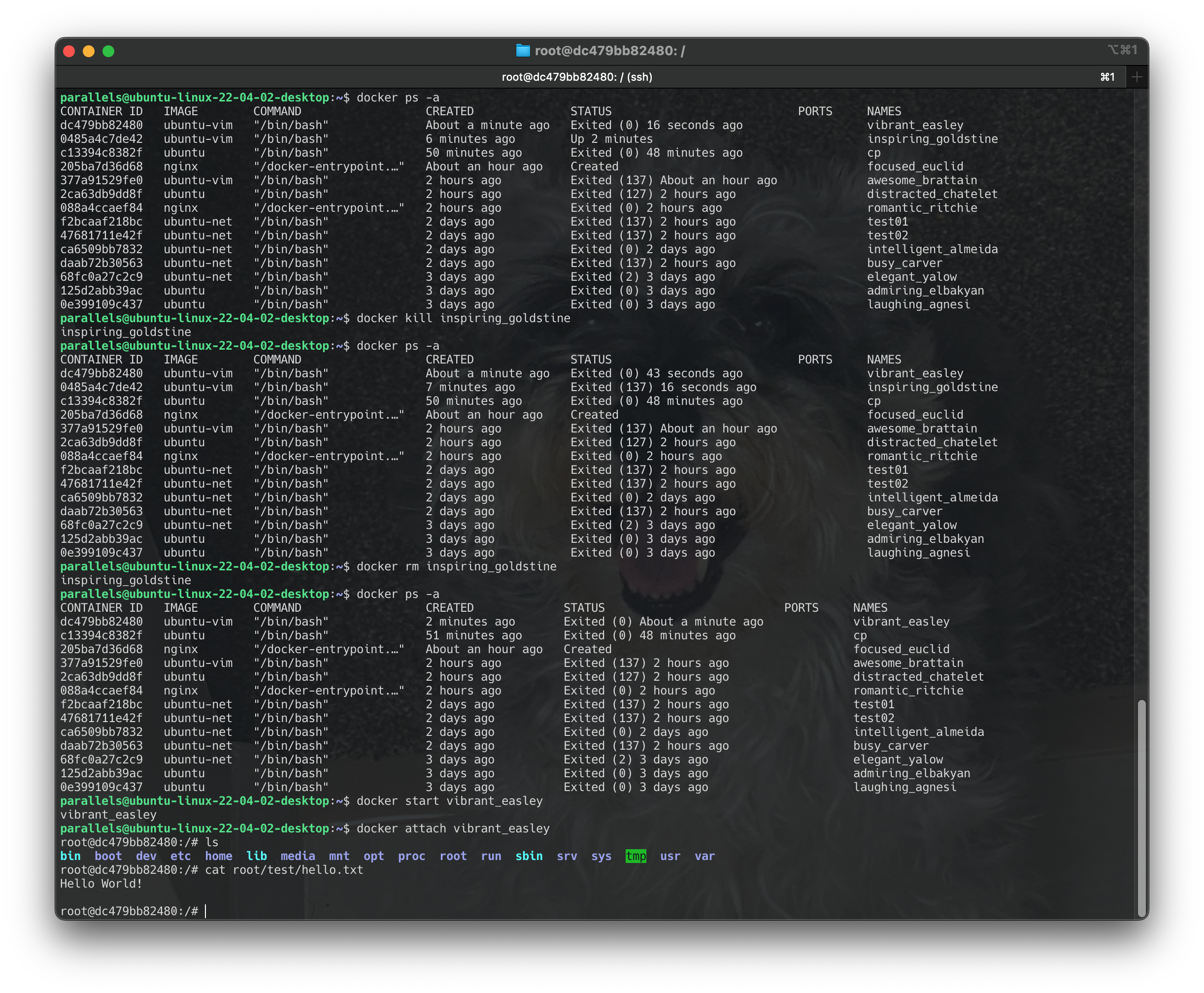 Screenshot 2024-06-22 at 13.10.13