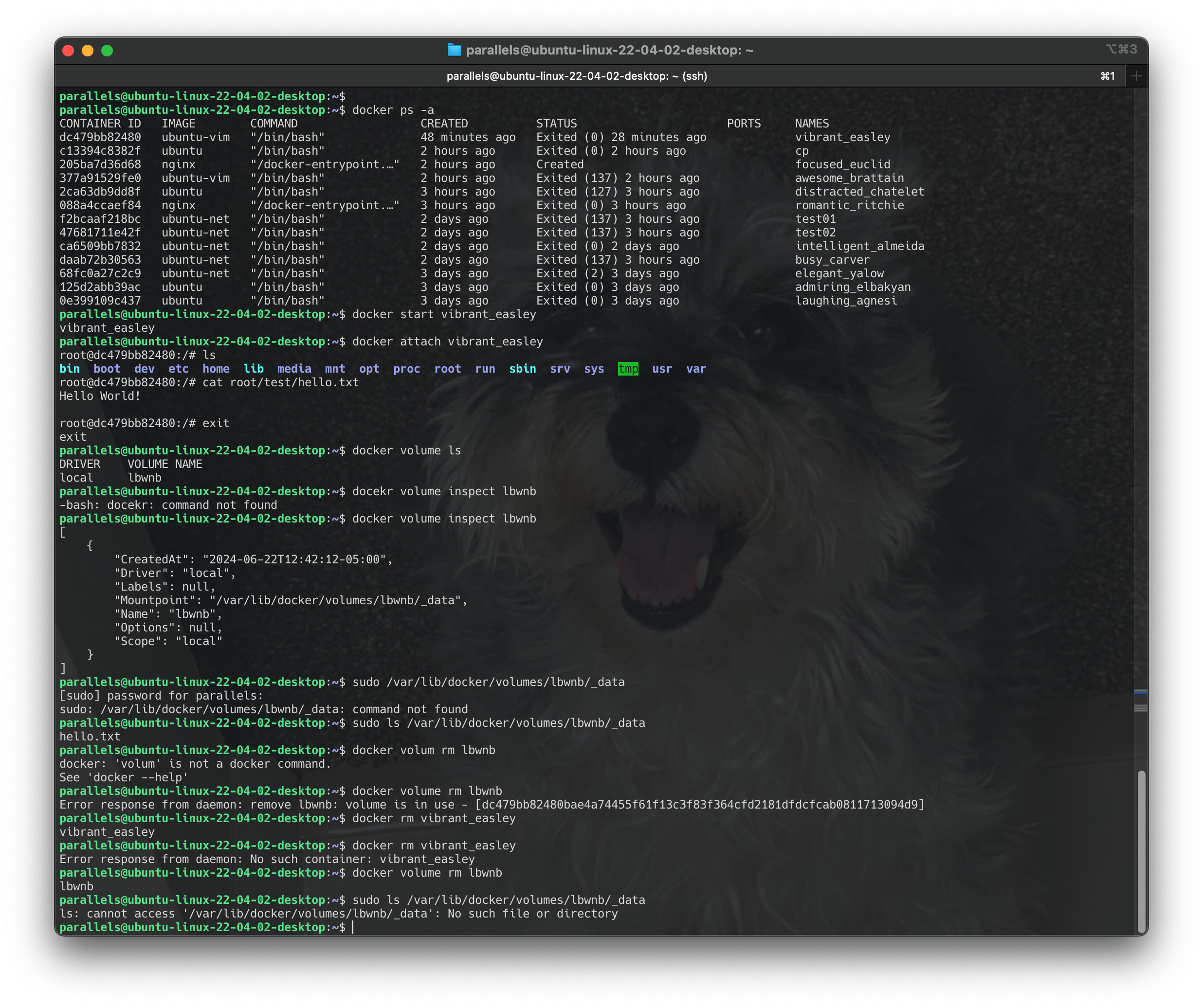 Screenshot 2024-06-22 at 13.58.54