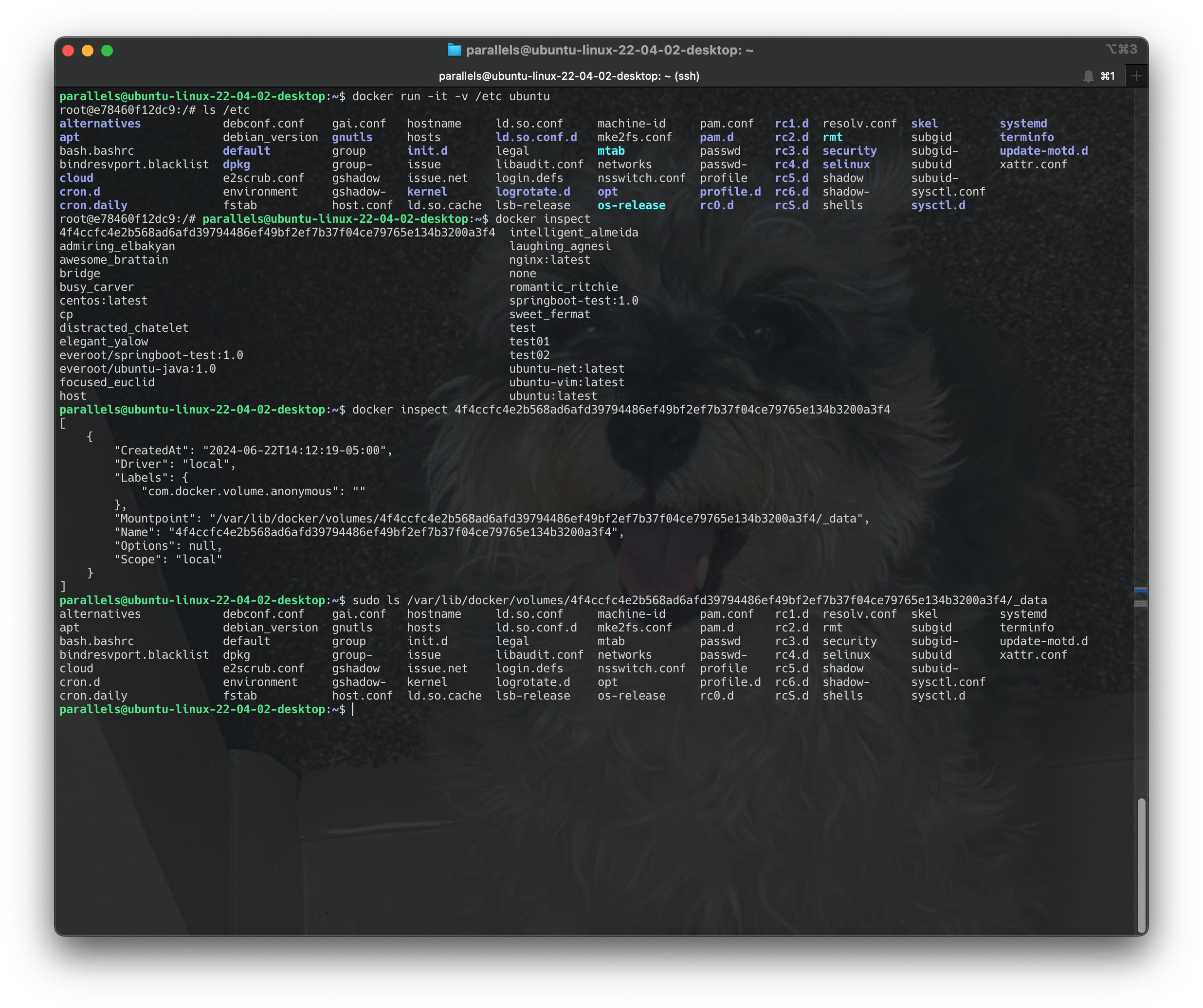 Screenshot 2024-06-22 at 14.14.00