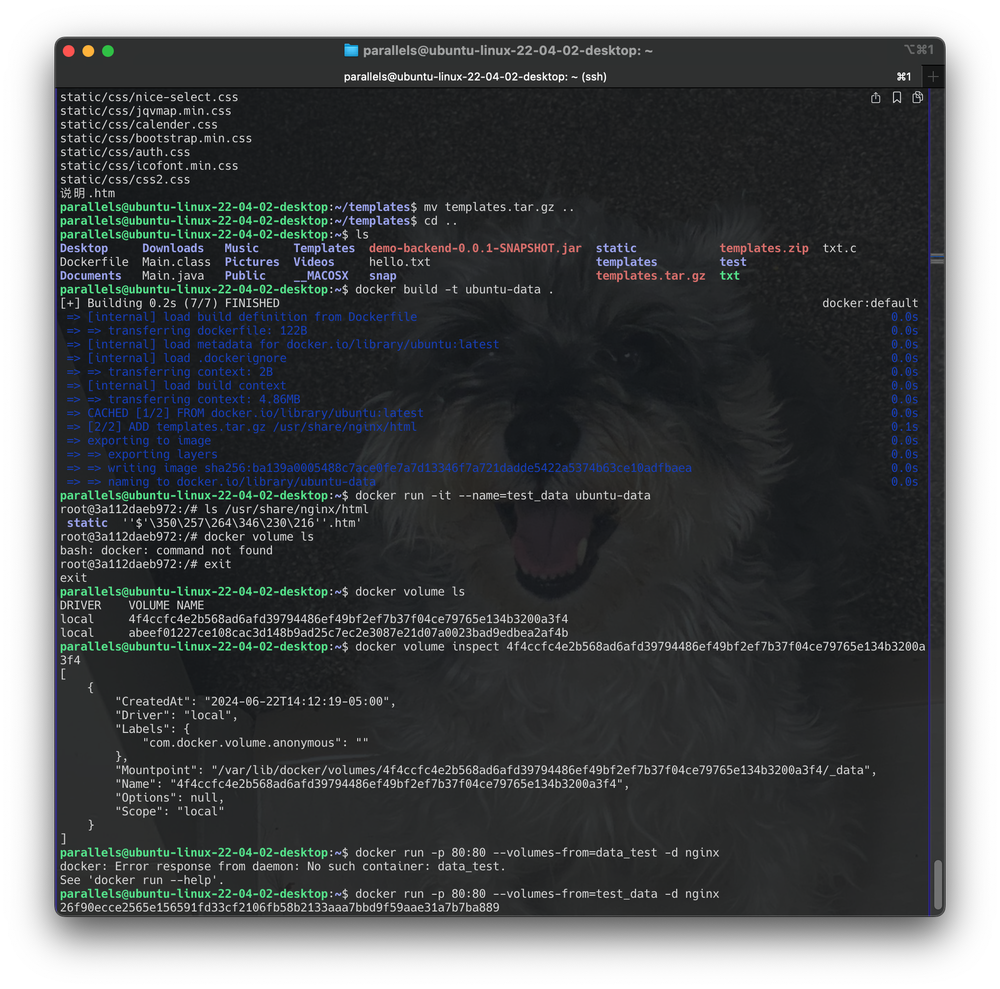Screenshot 2024-06-22 at 14.24.17
