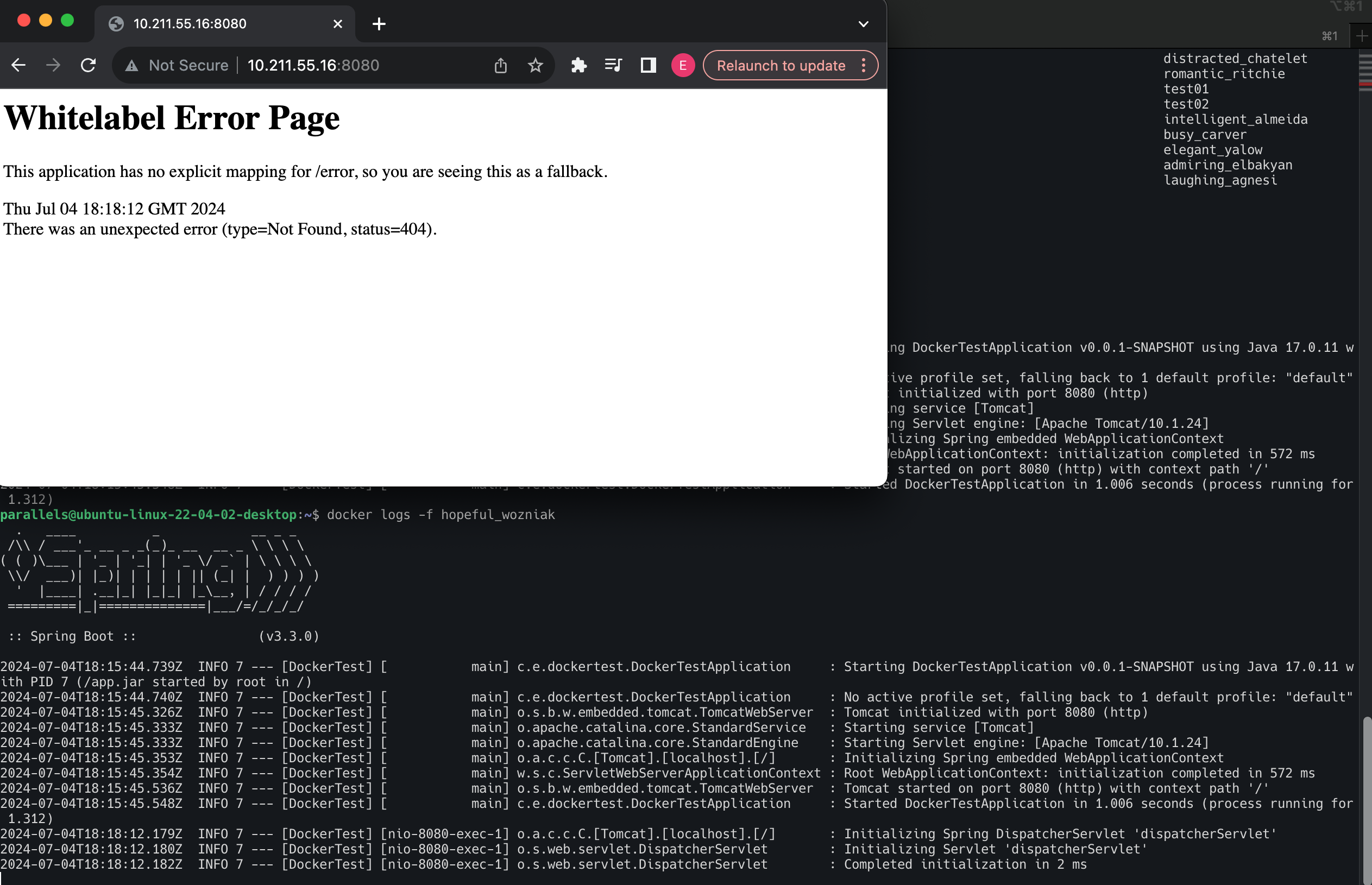 Screenshot 2024-07-04 at 13.18.38