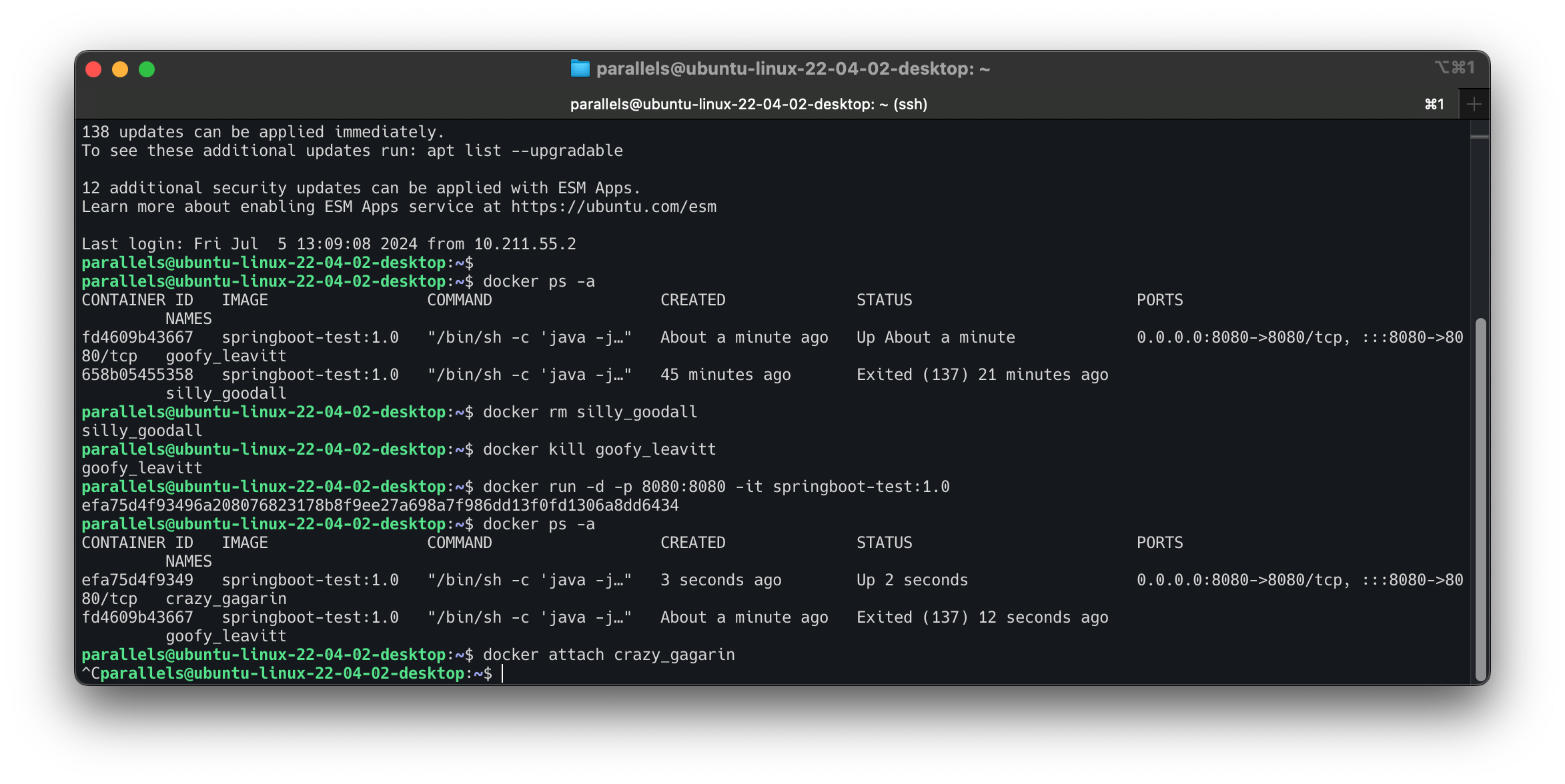 Screenshot 2024-07-05 at 13.15.05