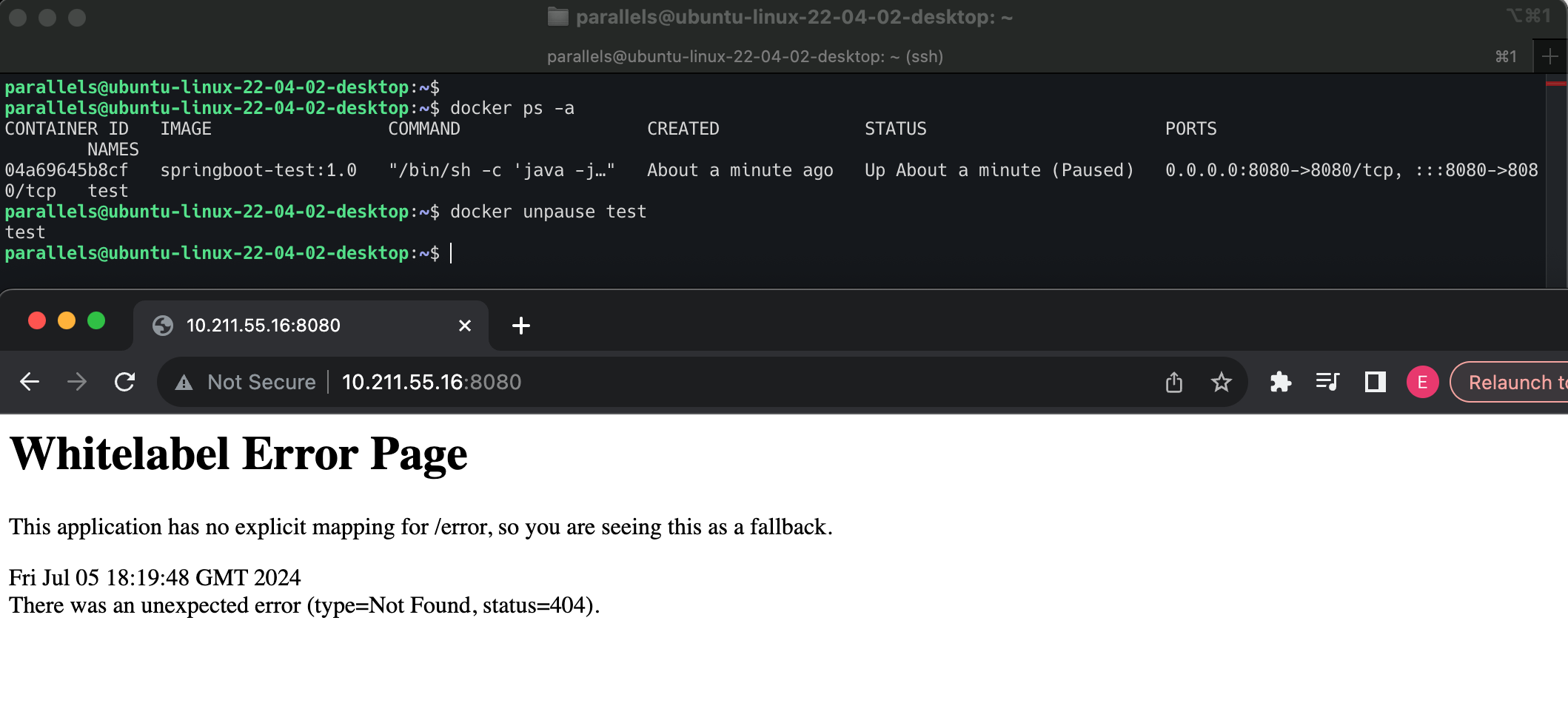Screenshot 2024-07-05 at 13.21.40