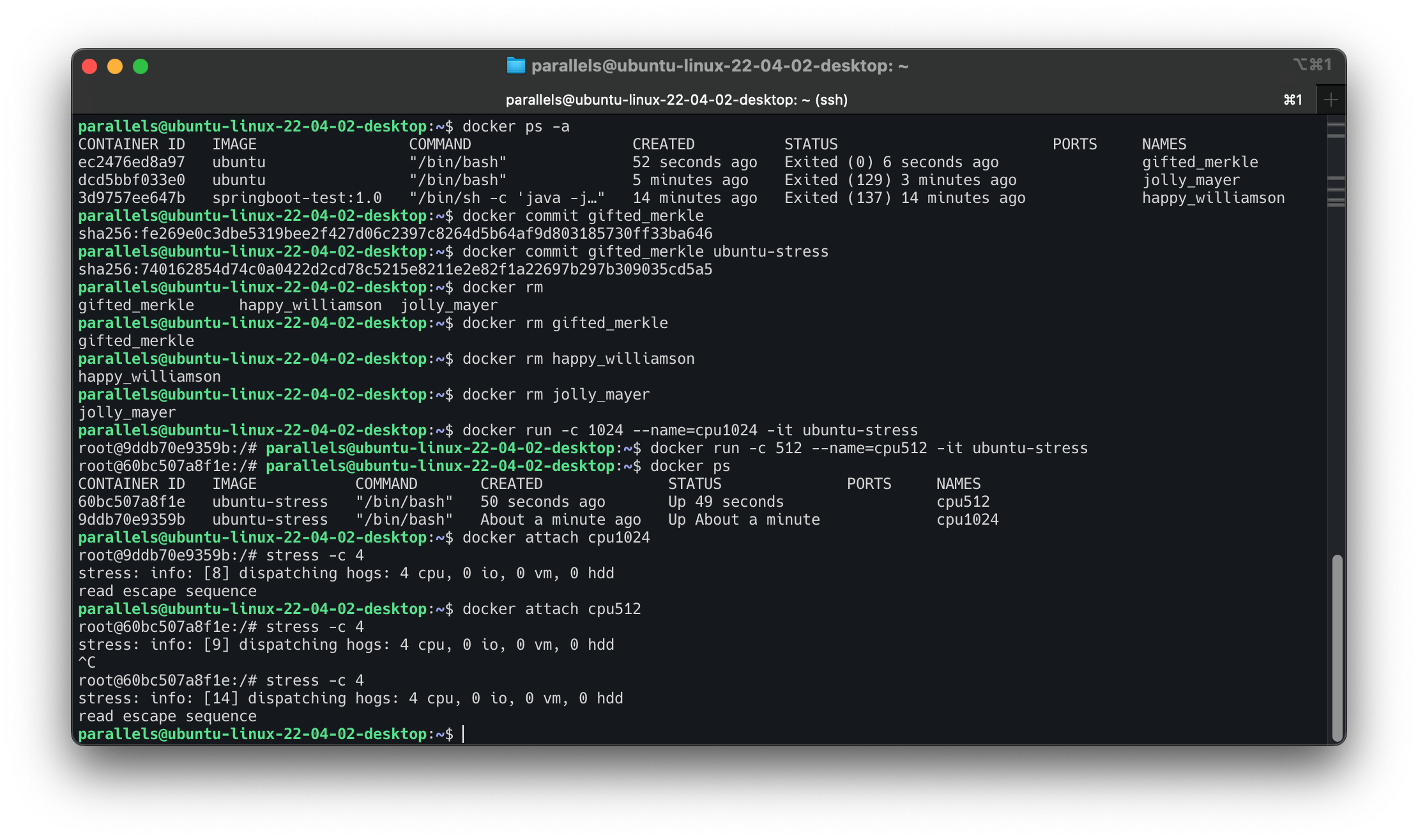 Screenshot 2024-07-05 at 13.44.49