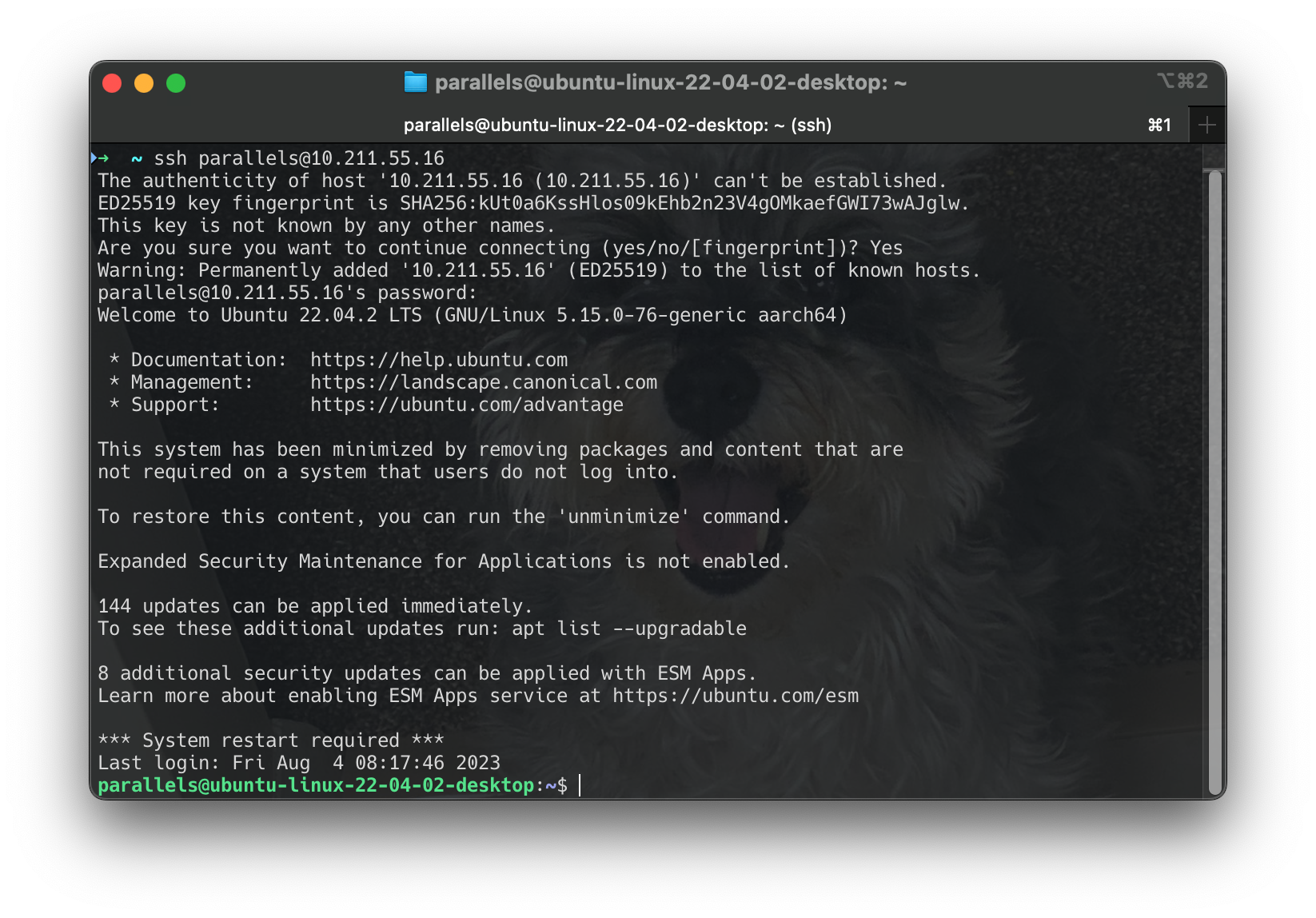 Screenshot 2024-06-16 at 12.50.30