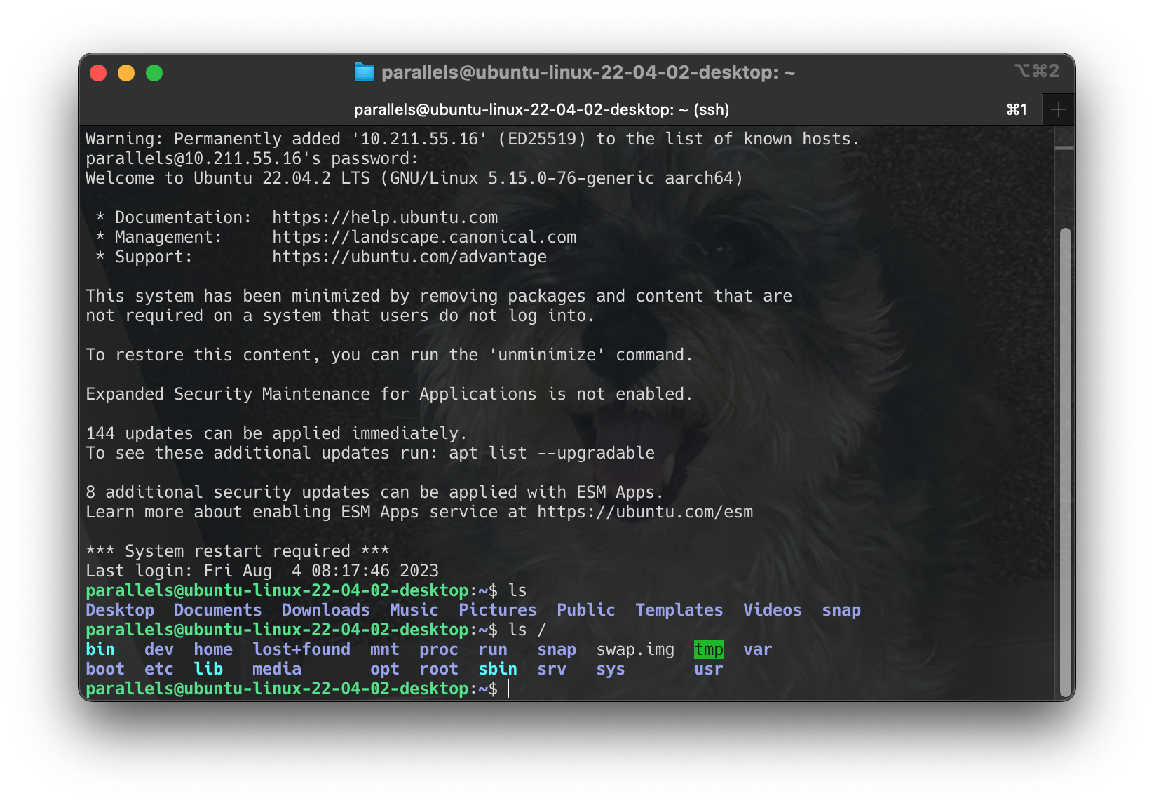 Screenshot 2024-06-16 at 13.02.23